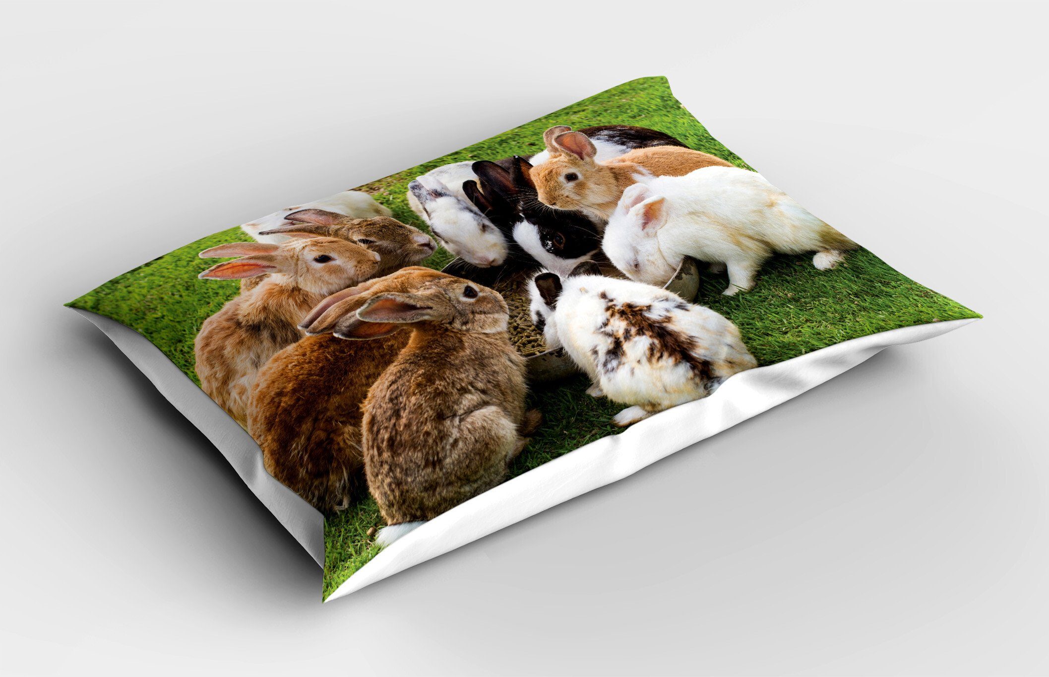 Kissenbezüge Dekorativer Bild Gedruckter Echt Hase Size (1 Stück), Feeding Gruppe Kopfkissenbezug, Queen einer Abakuhaus