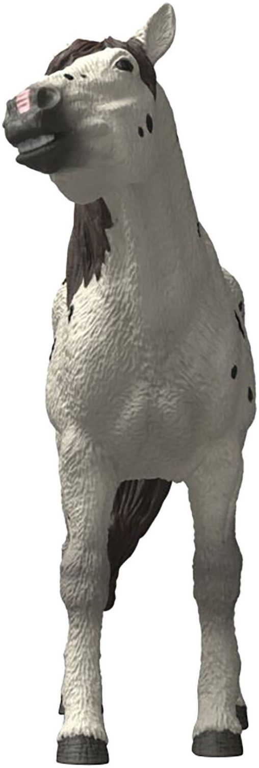 Schleich® Spielfigur HORSE CLUB, Knabstrupper Wallach (14916) – Bild 3 von 5