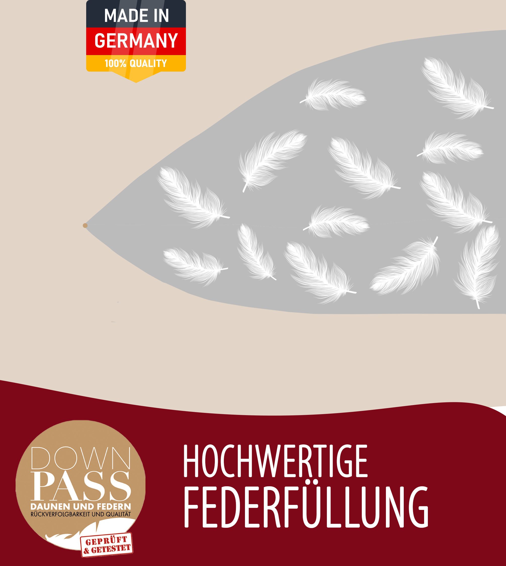 EVAN BROWNS Federkopfkissen waschbar bei 60°C, trocknergeeignet Stufe 1, Downpass & Nomite zertifi, Füllung: Federn, Seitenschläfer, Bauchschläfer, Rückenschläfer, 80x40 cm, 100 % weiße Federn, kühlend & atmungsaktiv