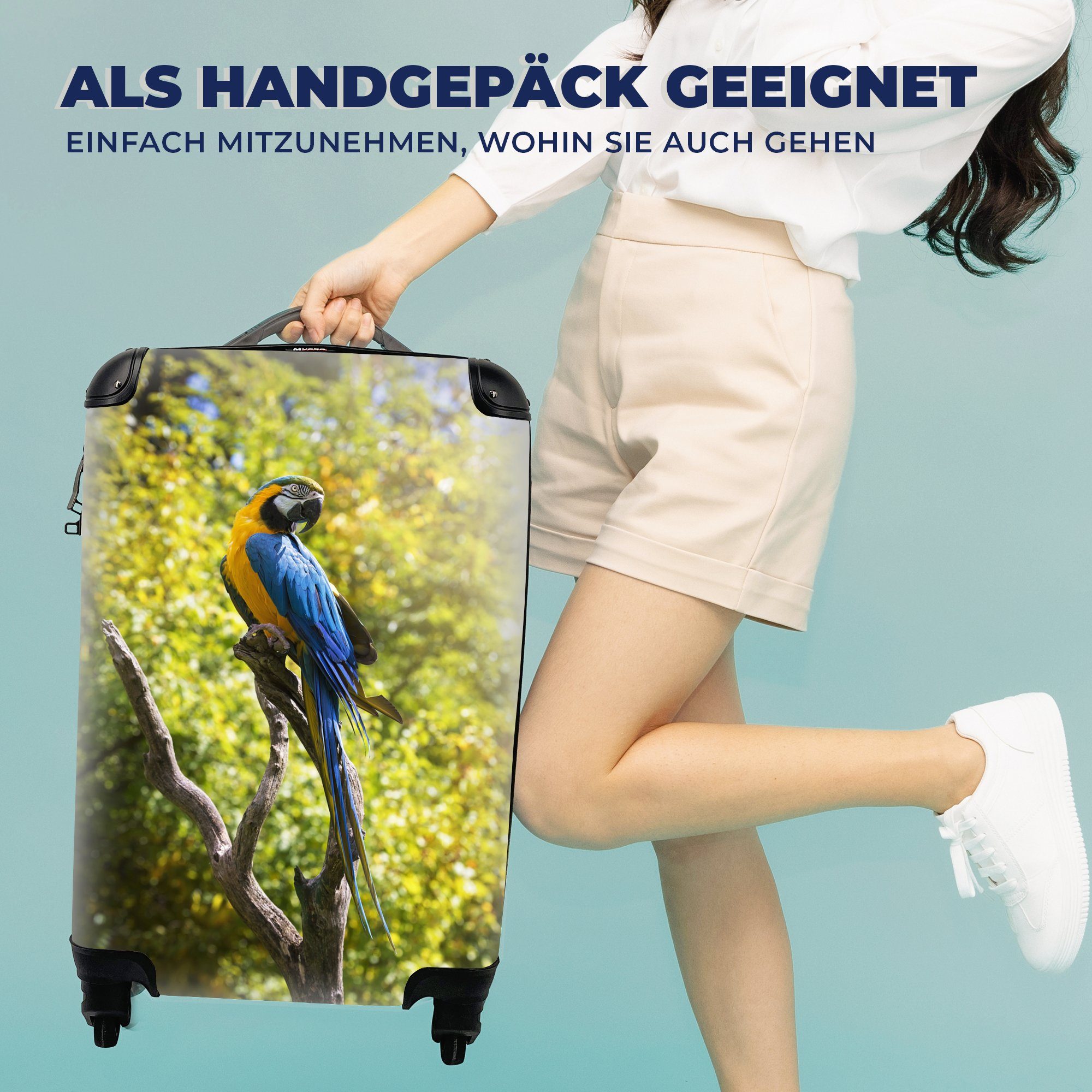 rollen, mit Reisekoffer Rollen, Eine Reisetasche MuchoWow einem auf Meise einzelne 4 Handgepäck für blaue Handgepäckkoffer Ast, Ferien, sitzt Trolley,