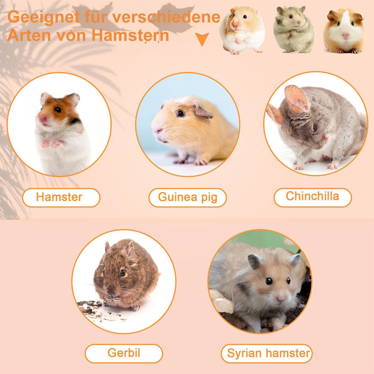 DOPWii Tier-Intelligenzspielzeug Hamsterrad, Laufrad aus Holz günstig online kaufen
