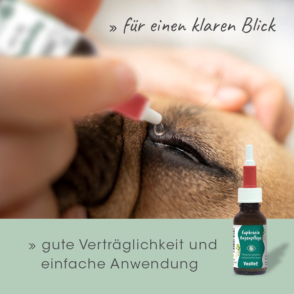cdVet Tier-Hautpflegemittel VeaVet Euphrasia Augenpflege, bei gereizten und geröteten Augen mit Augentrost