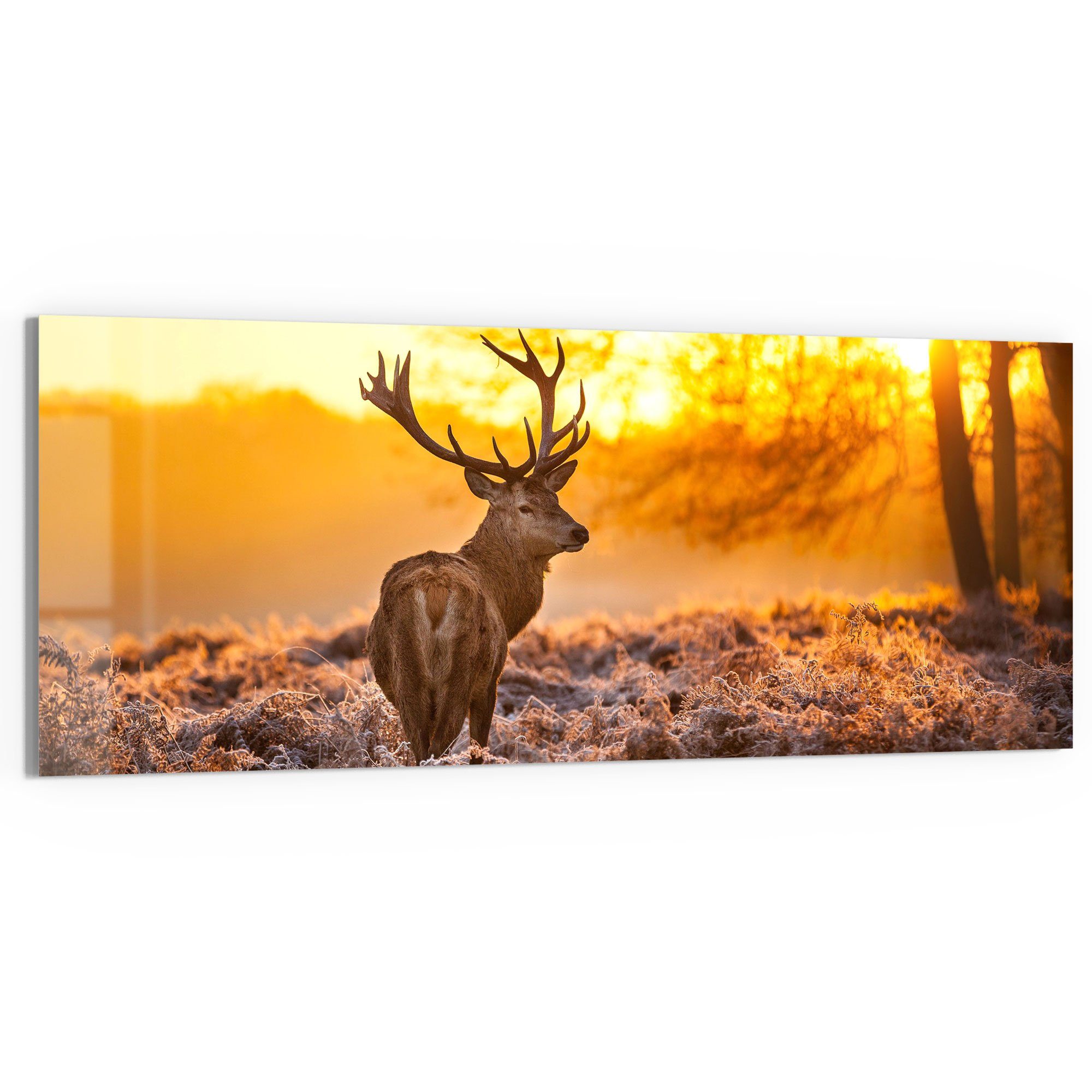 Glasbild 'Hirsch am Wintermorgen'