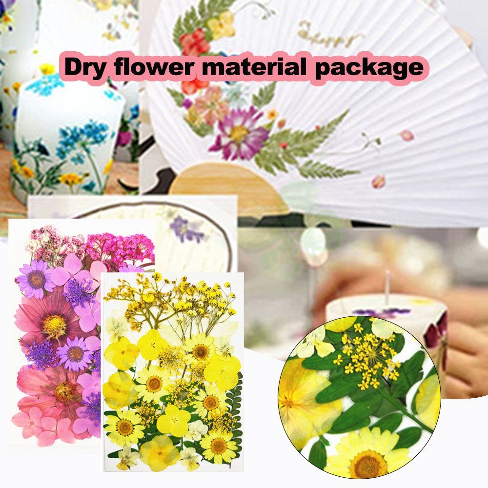 Trockenblume Blusmart, Trockenblumen-Material-Set, Blumen, DIY greenO Modische Gepresste Pflanzen, Trockenblume