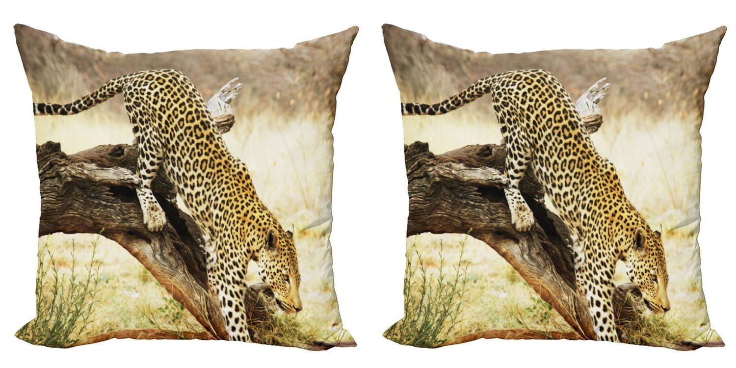 Kissenbezüge Modern Accent Doppelseitiger Digitaldruck, Abakuhaus (2 Stück), Exotisch Leopard-wilde Katze auf Baum