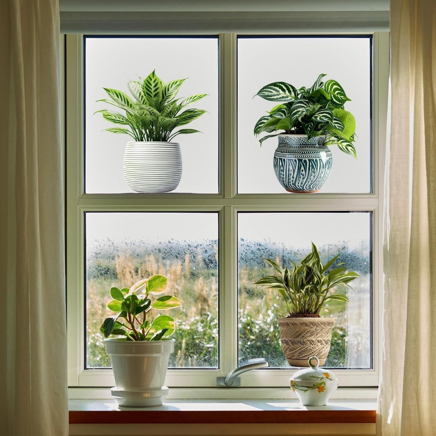LuxusKollektion Fensterbild Fensteraufkleber Pflanzen Tropisch Gruen PVC