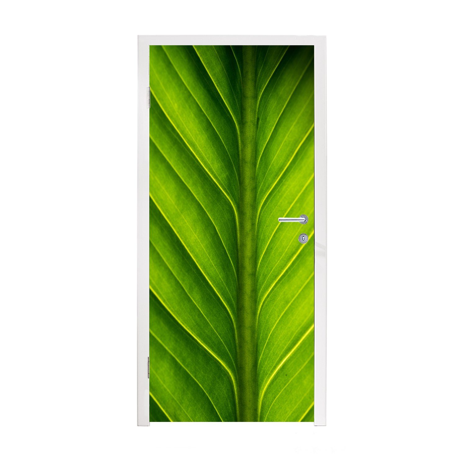 MuchoWow Türtapete Mit Blättern (1 Tür, St), 75x205 für Matt, Fototapete Türaufkleber, bedruckt, cm gefüllter Zweig