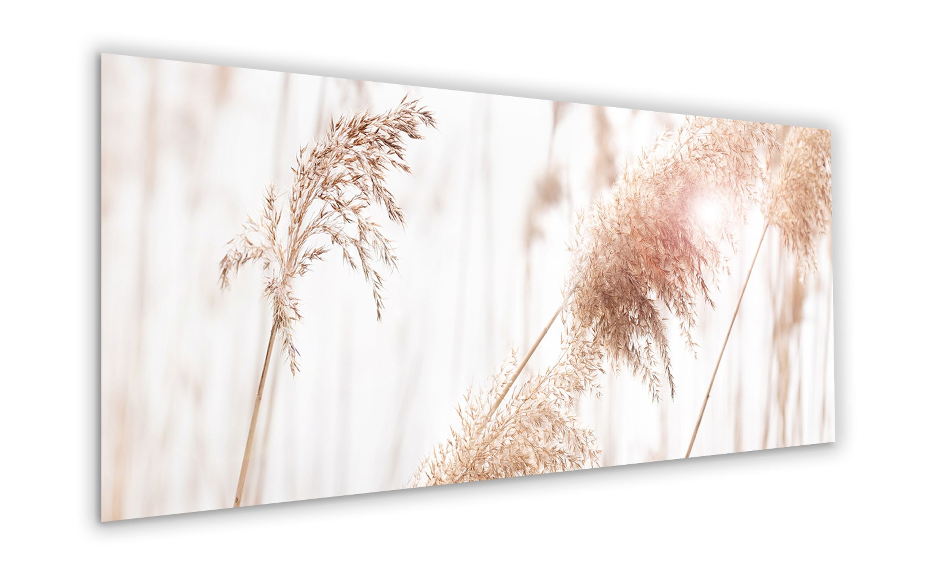 125x50 cm beige Glasbild Wind aus hell Glasbild Bild XXL groß weiß artissimo Natur Gräser, Pampas-Gras im und Pflanzen: Glas