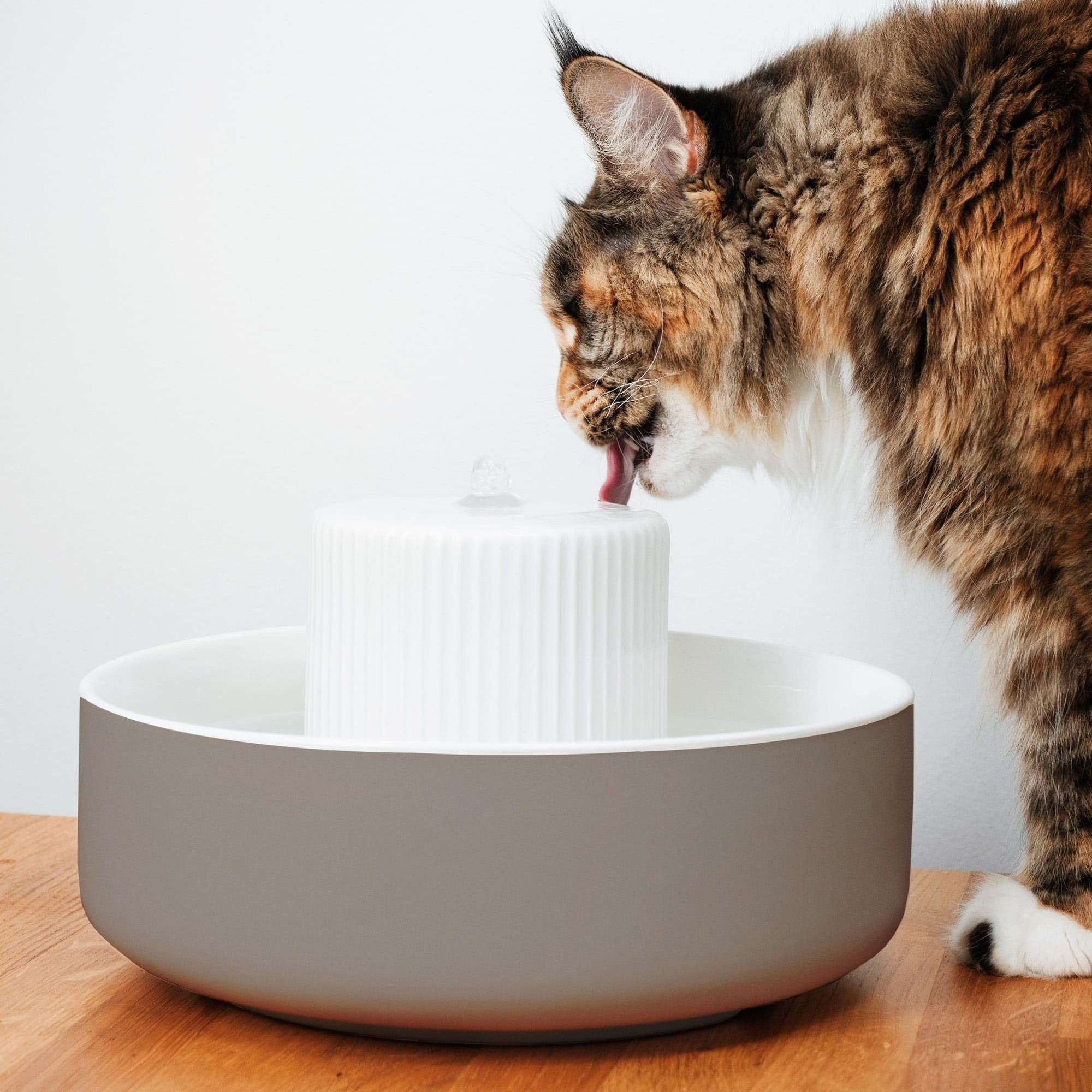 LucyBalu Trinkbrunnen TREVI Trinkbrunnen für Katzen günstig online kaufen
