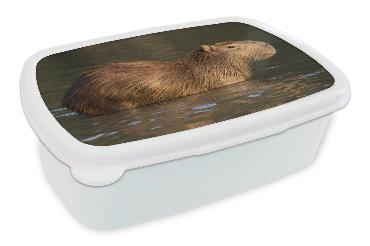 MuchoWow Lunchbox Capybara Brotbox Erwachsene, für Jungs (2-tlg), Kunststoff, und weiß Wasser, im steht und für Brotdose, Ein Mädchen Kinder