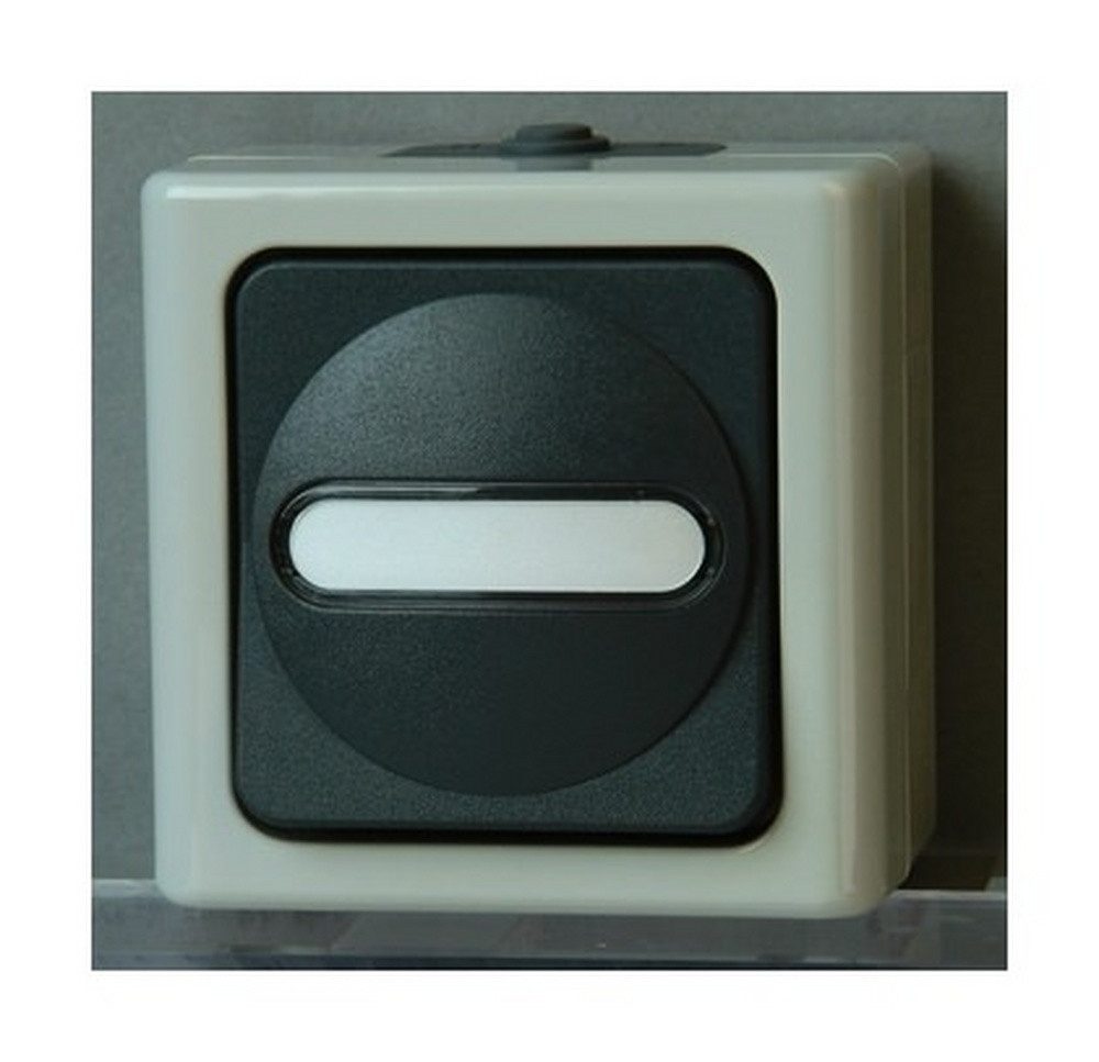 Kopp Schalter, Einzeltaster grau 1W AP BLUE ELECTRIC IP44 mit Beleuchtung