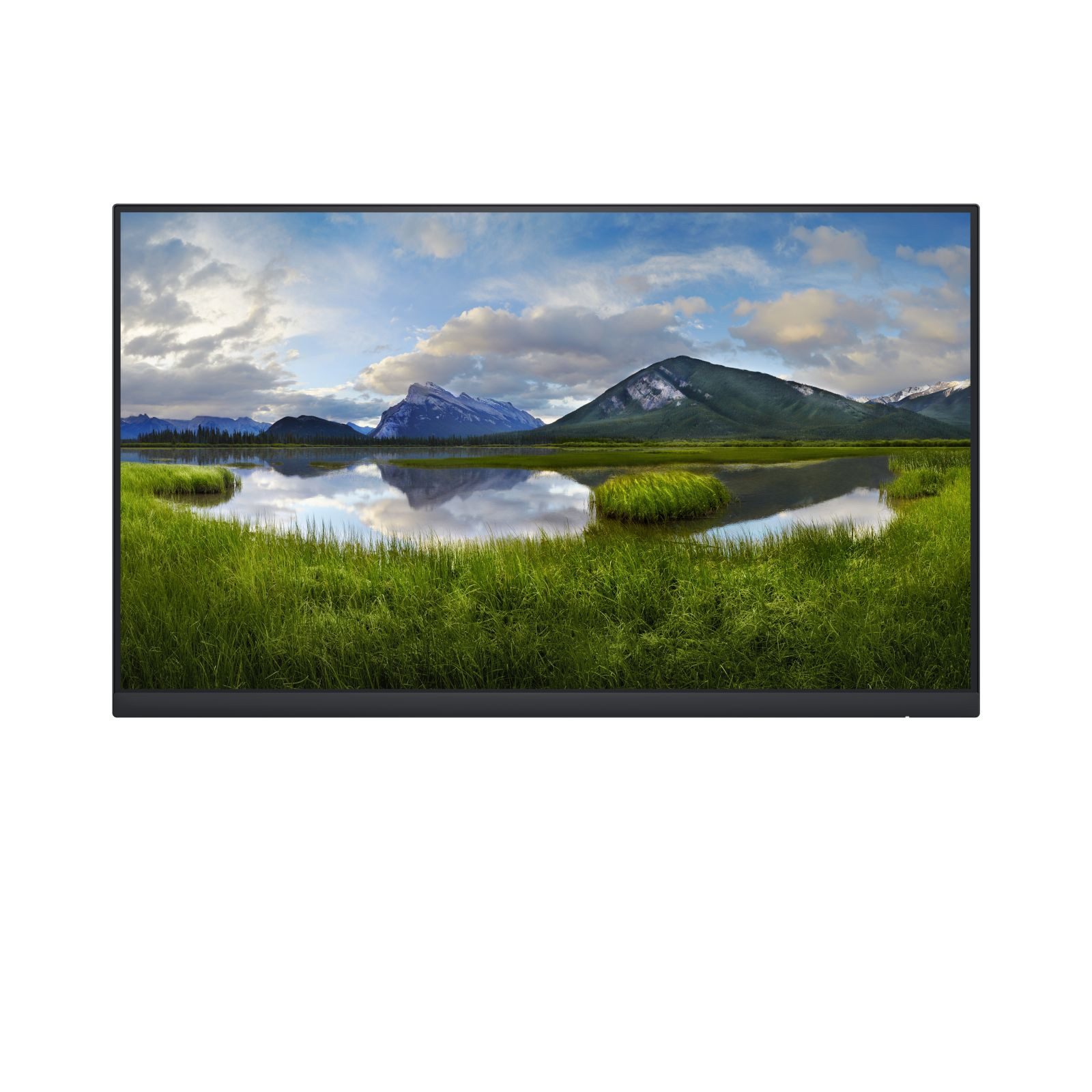 P2422HE - Ohne Standfuß - LED - 61 cm (24) TFT-Monitor