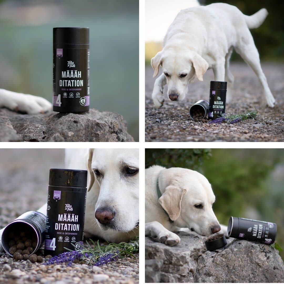Tales & Tails Määähditation - Funktionaler Hundesnack, Snack für: Hunde