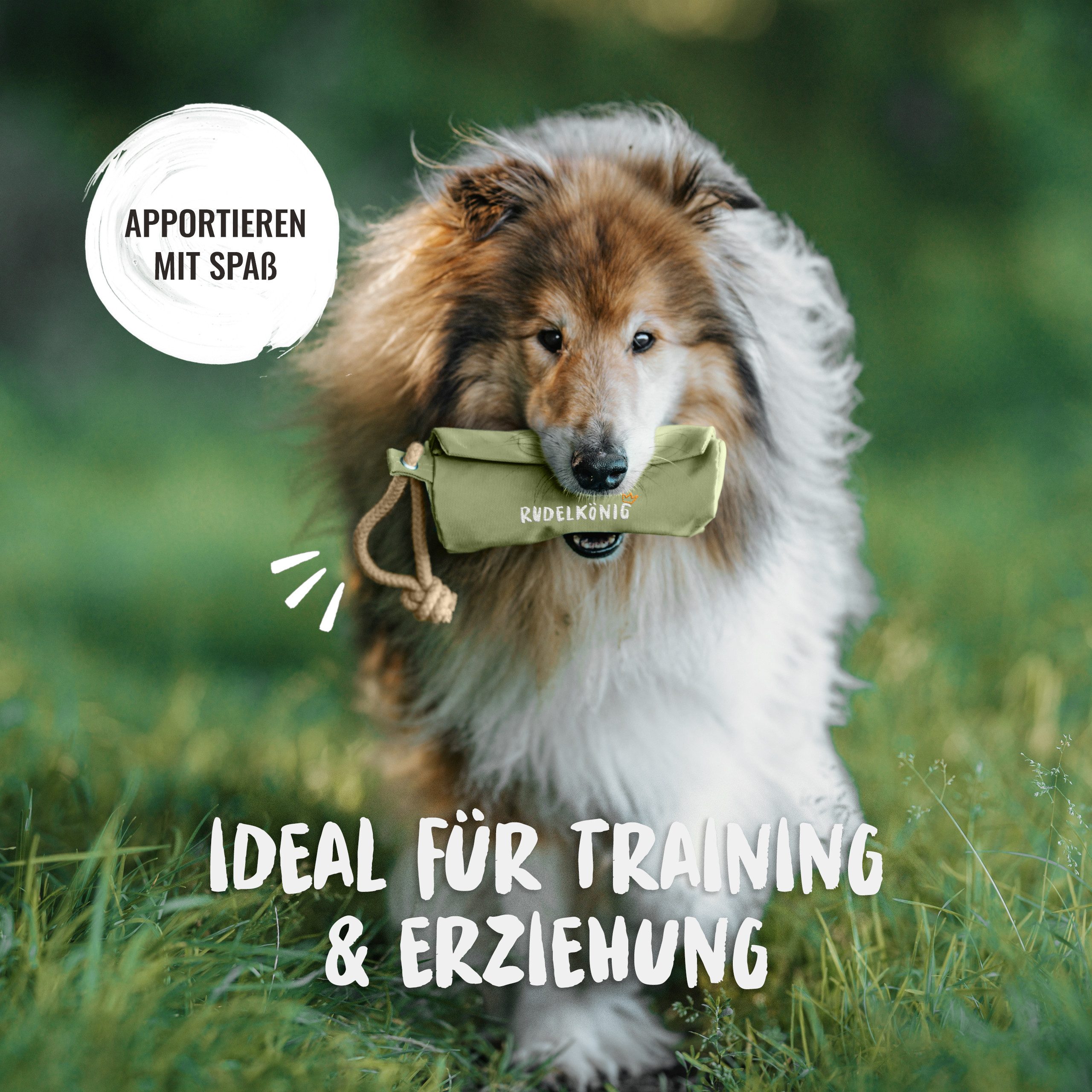 Rudelkönig Tier-Intelligenzspielzeug Futterbeutel für Hunde, Apportierbeute günstig online kaufen