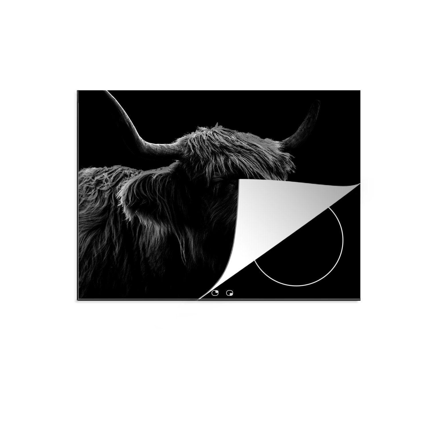MuchoWow Herdblende-/Abdeckplatte Schottischer Highlander leckt sich die Nase auf schwarzem Hintergrund, Vinyl, (1 tlg), 57x51 cm, Induktionsschutz, Induktionskochfeld, Ceranfeldabdeckung
