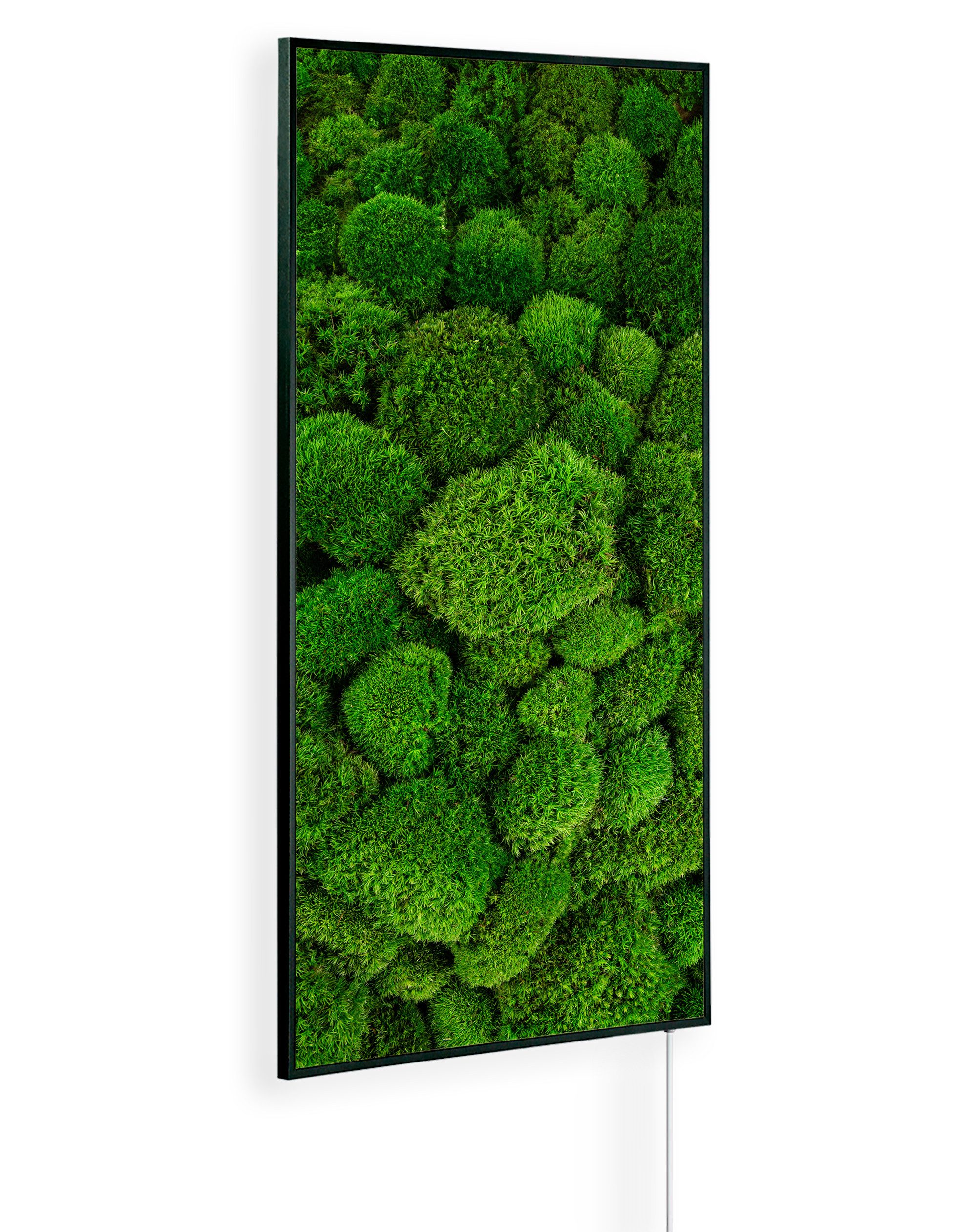Könighaus Infrarotheizung Ambient Edition, hohe Effizienz, günstig online kaufen