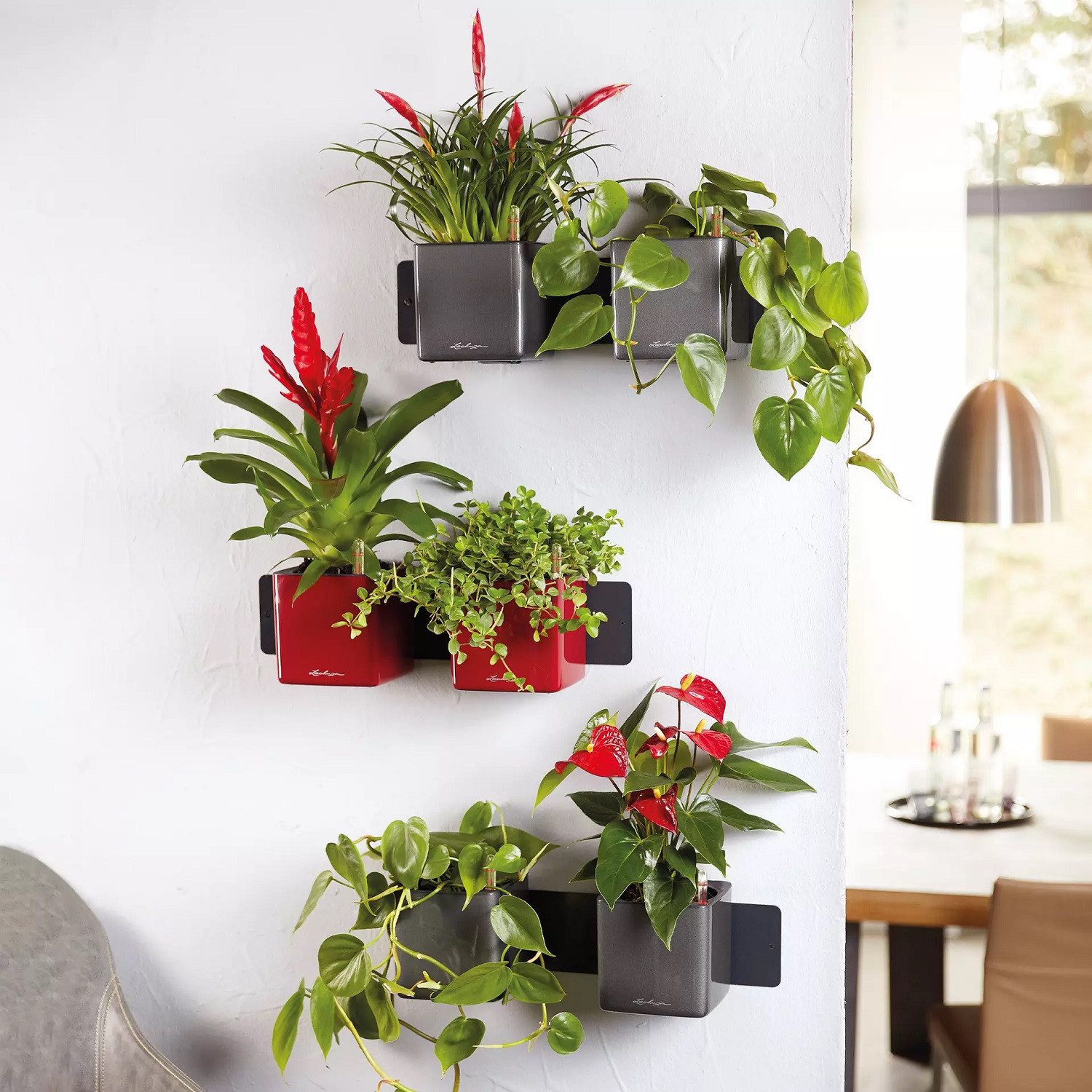 Lechuza® Kräutertopf Green Wall Home Kit, 3x Cube Premium 14, Kompletts