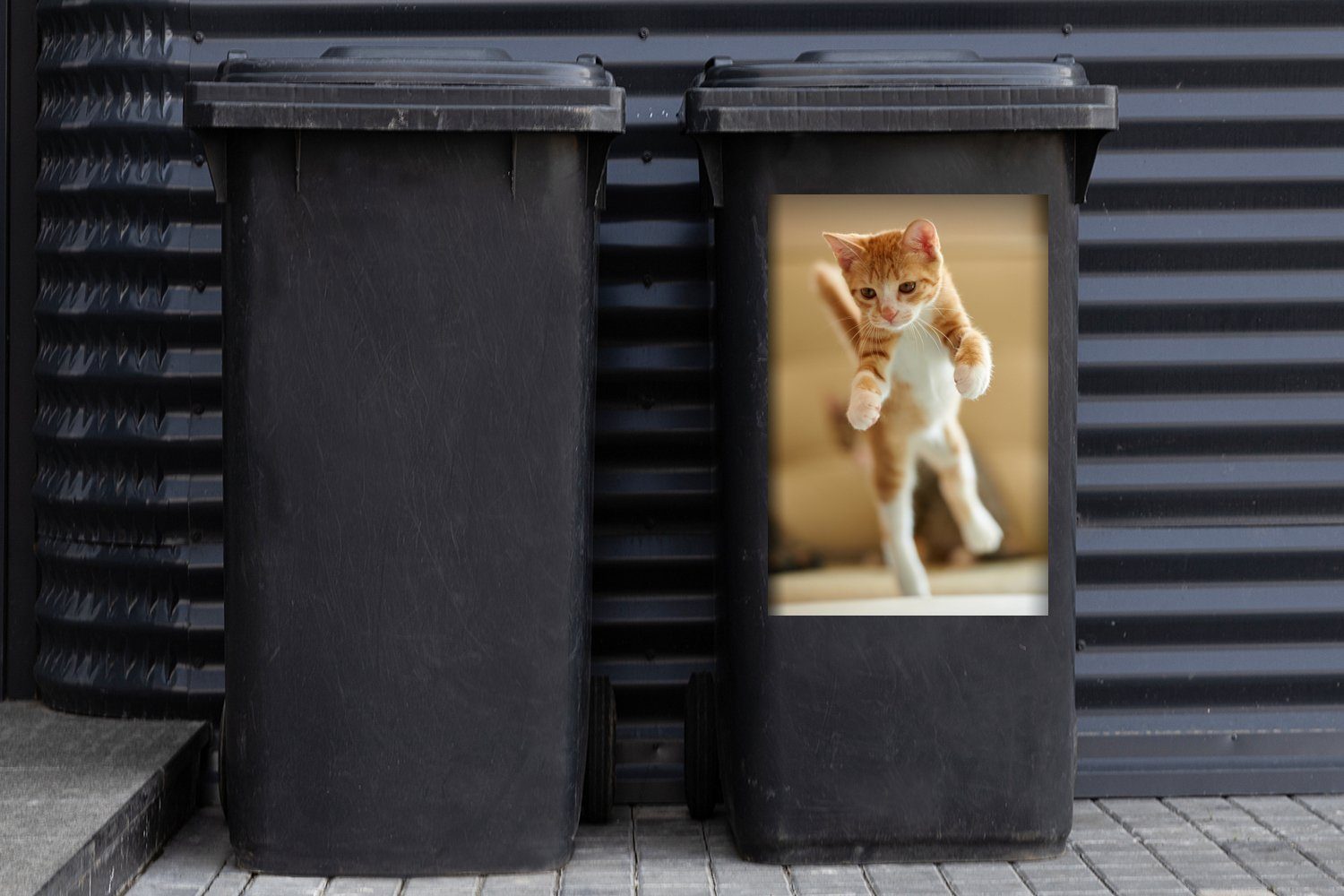 MuchoWow Wandsticker Eine Nahaufnahme eines Sticker, Abfalbehälter Mülleimer-aufkleber, Kätzchens Container, Mülltonne, springenden (1 St)