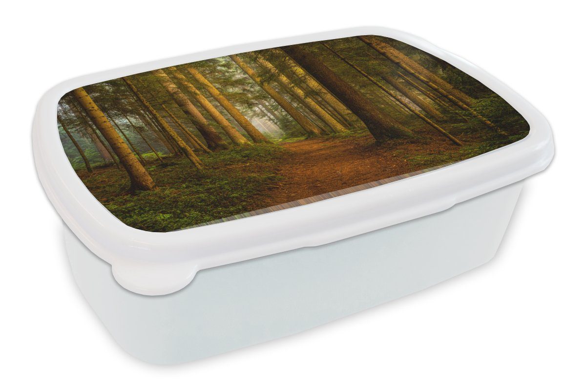 - und für und Erwachsene, Kunststoff, Bäume (2-tlg), MuchoWow Jungs Landschaft Natur Lunchbox Brotdose, Kinder - weiß Brotbox für - Laub, - Wald Mädchen