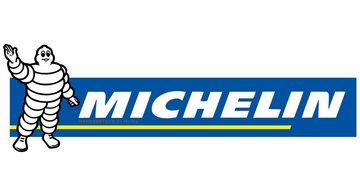 Michelin Luftpumpe Auto Motorrad Fahrrad Freizeit ein Zylinder Analog Fussluftpumpe