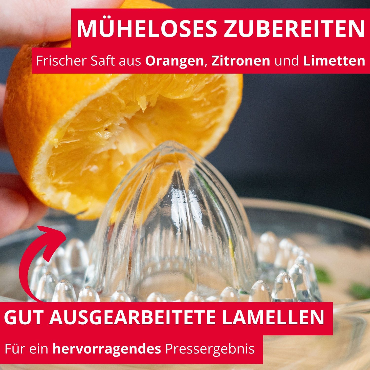 WESTMARK Zitruspresse Fassungsvermögen: 250 ml, Glas, Transparent – Bild 2 von 5