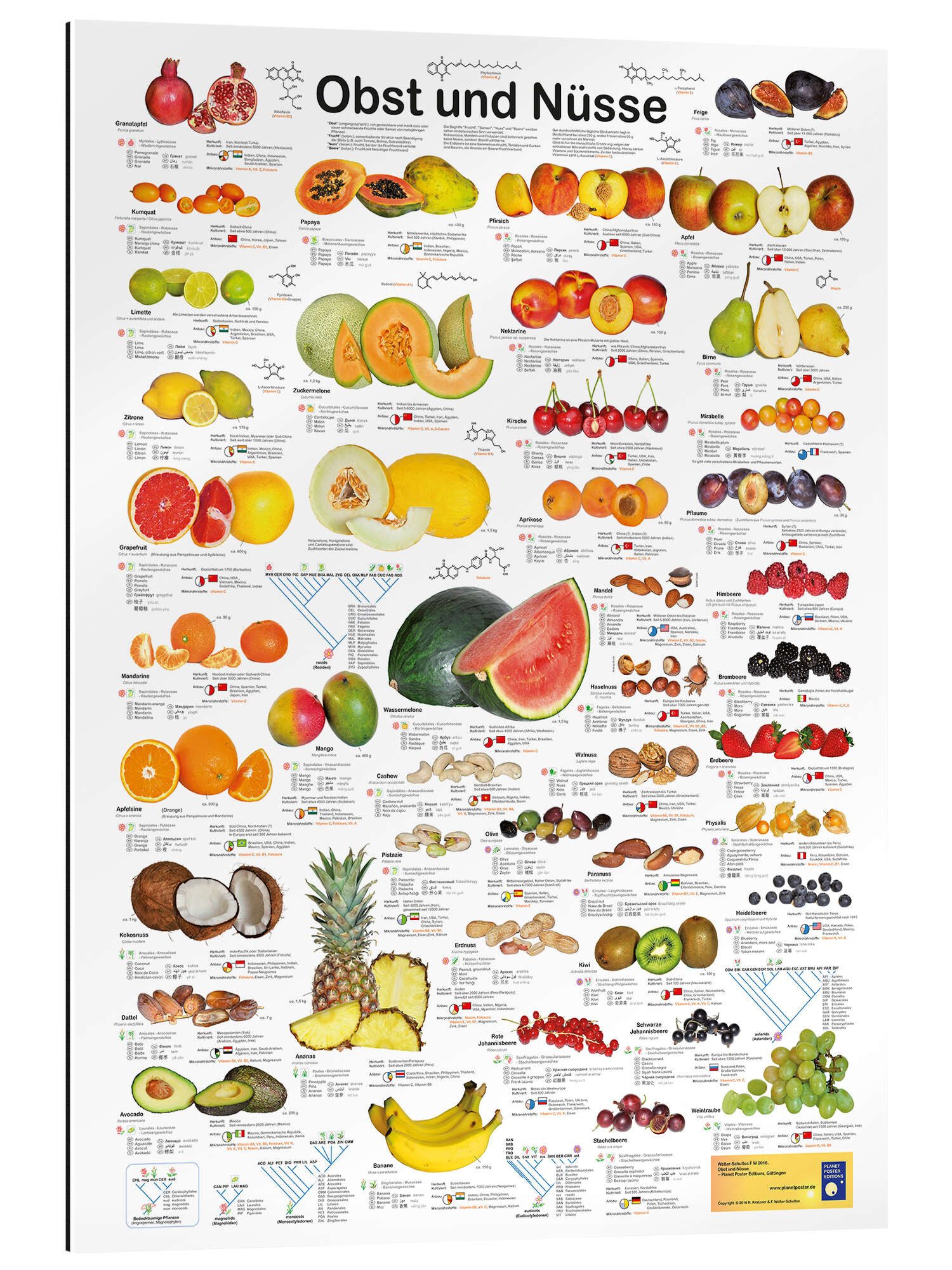 Posterlounge Poster Planet Poster Editions, Obst günstig online kaufen