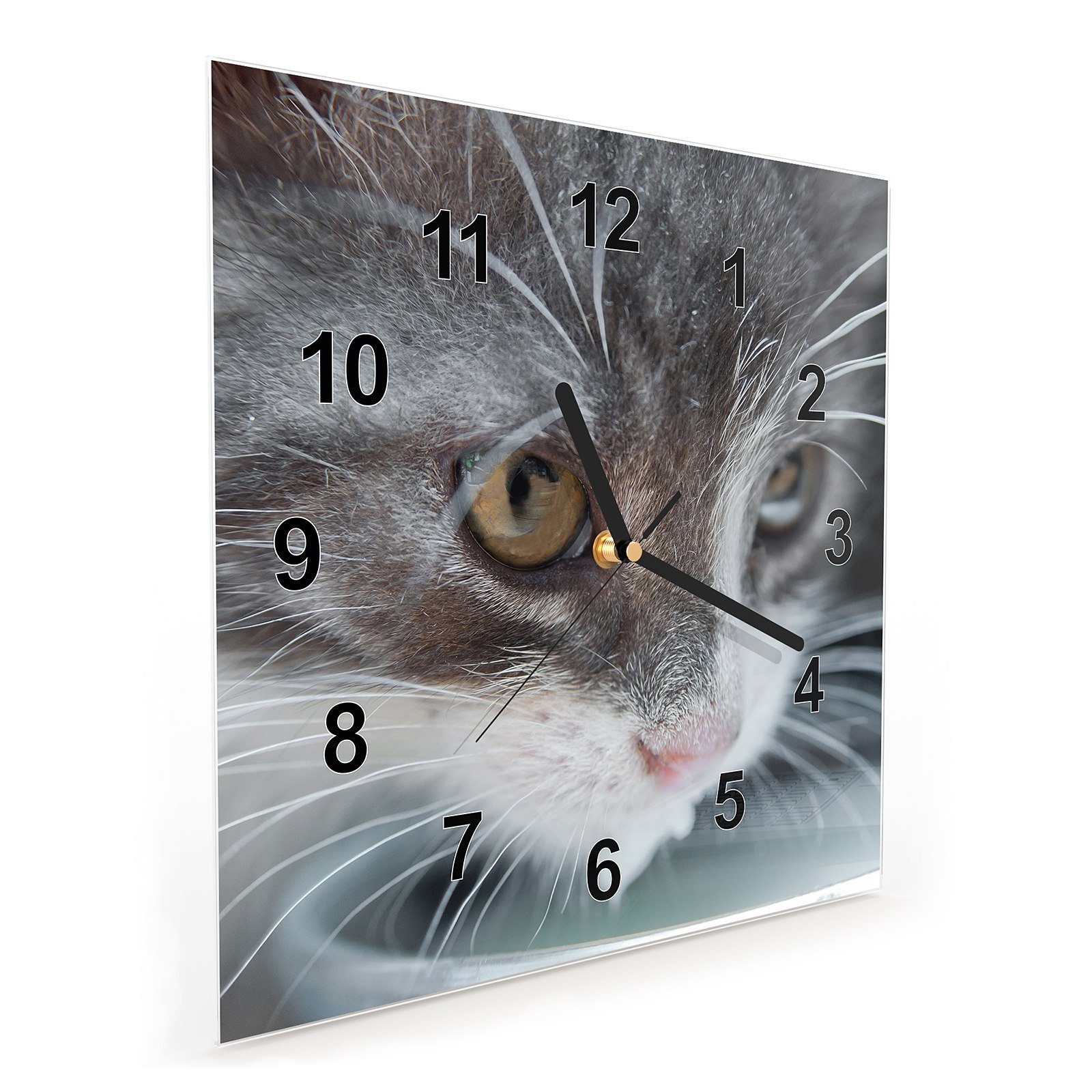 Primedeco Wanduhr x cm Glasuhr mit 30 30 Wanduhr Katze Hungrige Motiv Wandkunst Größe