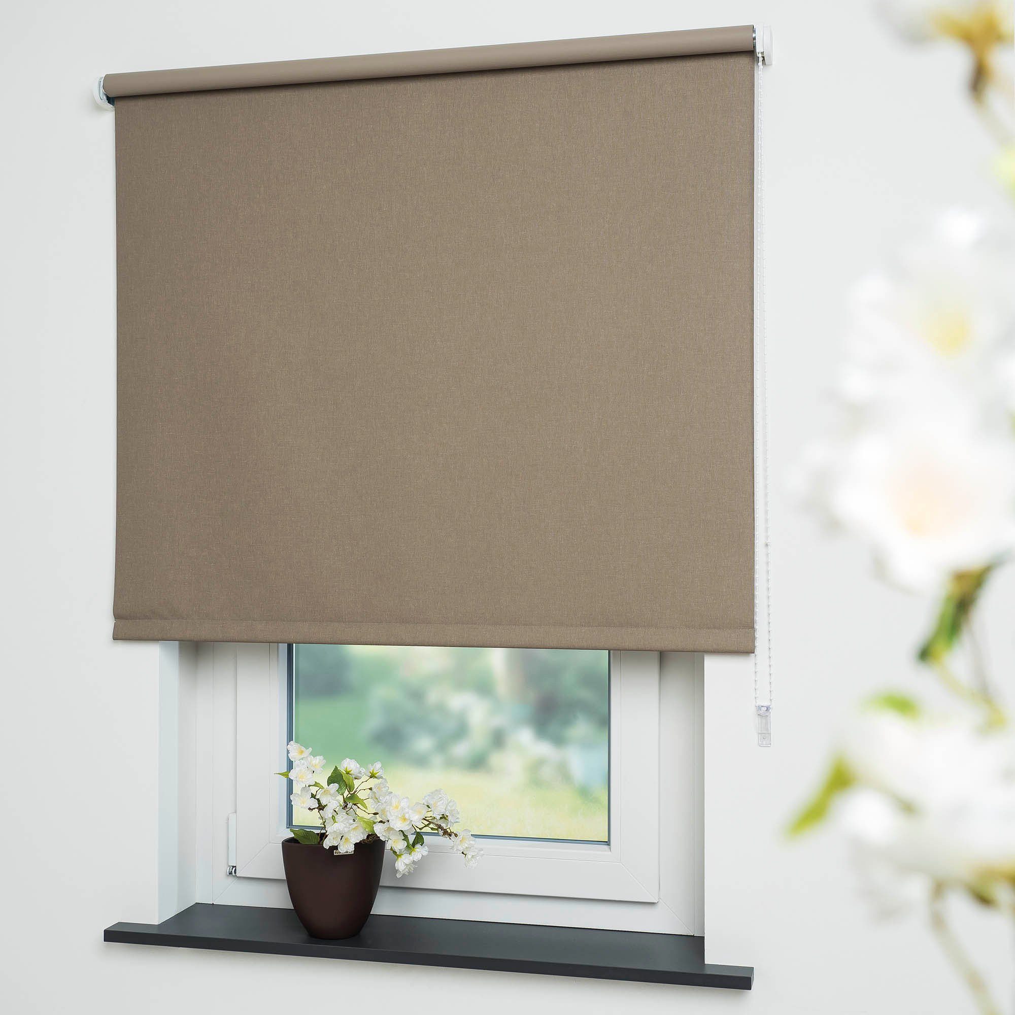 Seitenzugrollo Uni, Liedeco, verdunkelnd, mit Bohren, günstig online kaufen