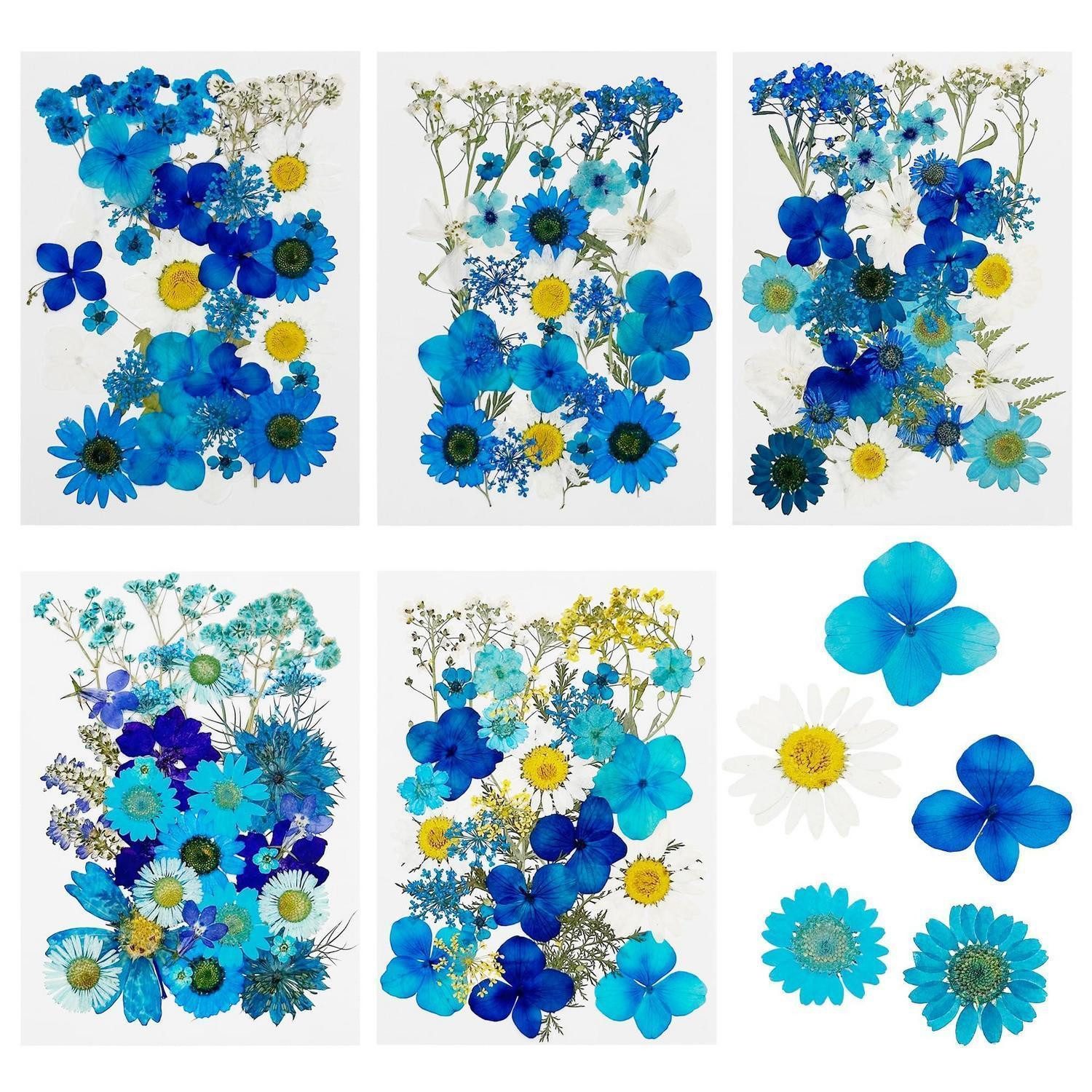 Trockenblume Getrocknete Blumen & Blätter 170 Stück Blau, LuxusKollektion, Höhe 0.5 cm