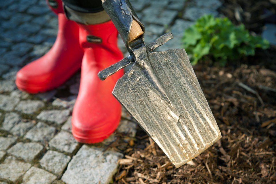 Krumpholz Gartenpflege-Set Krumpholz Hohl- und Pflanzspaten mit Tritt und Eschen-T-Stiel (80 cm)