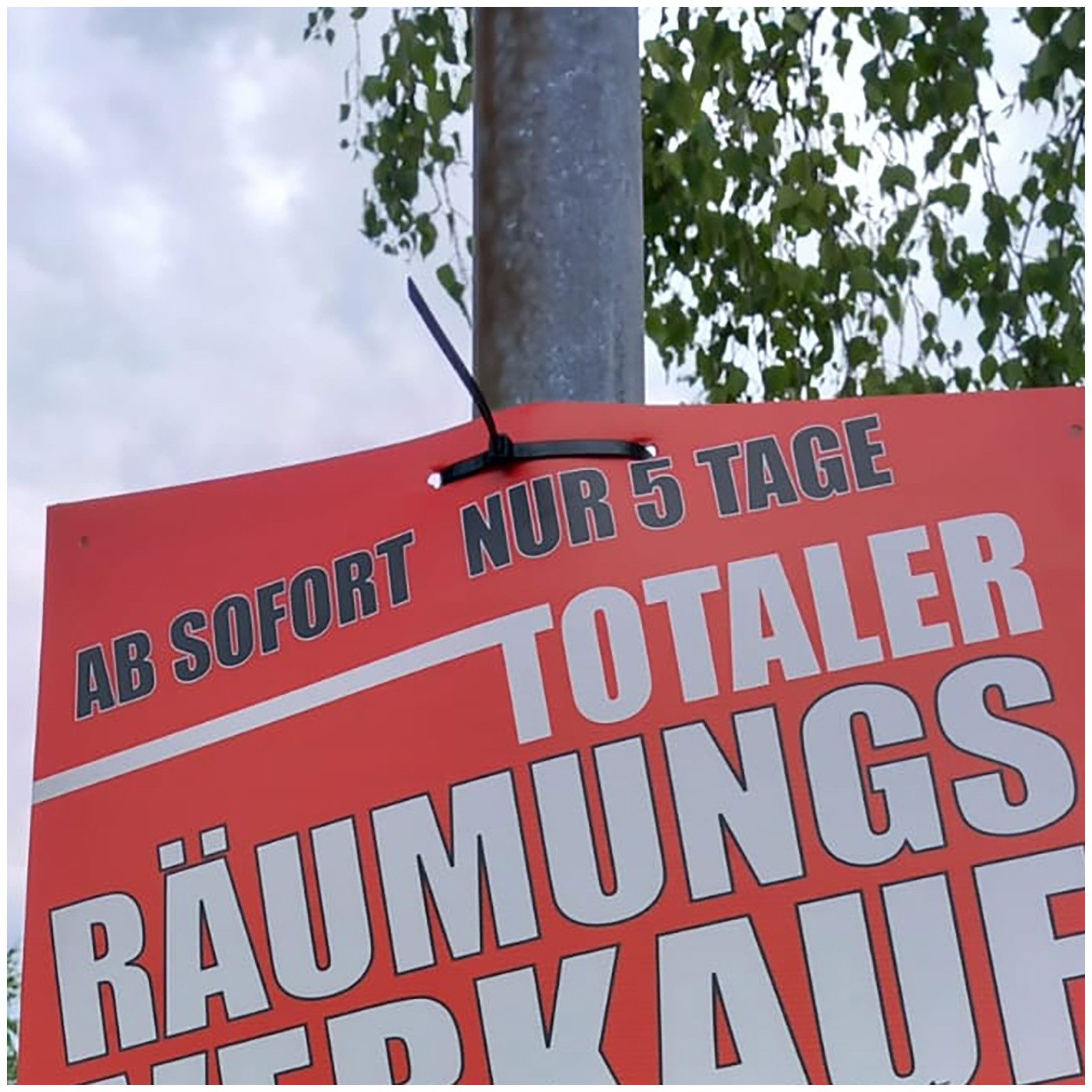 HTI-Living Kabelbinder Kabelbinder für Plakatbefestigung 1 m (Set, 100-St., 100 Kabelbinder)