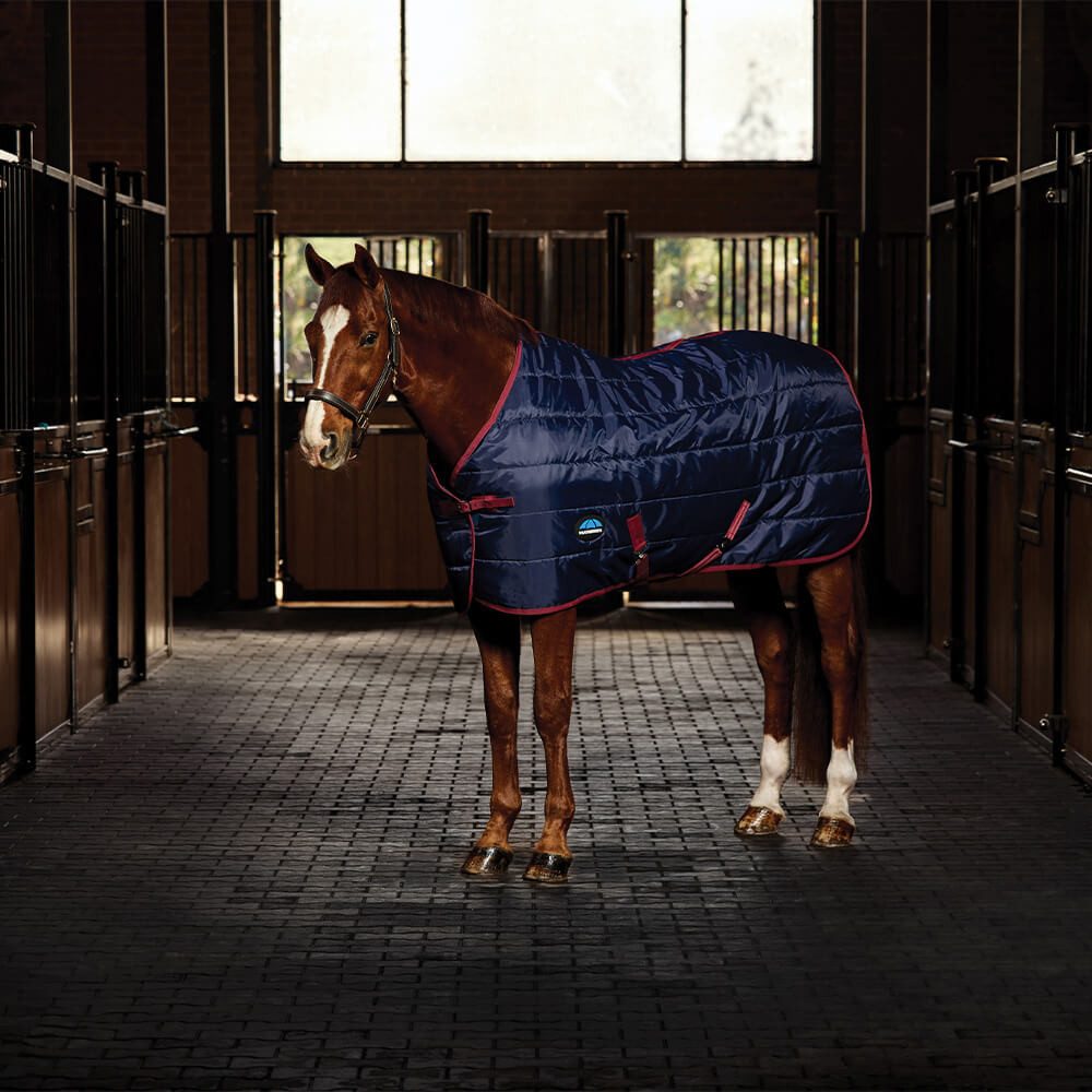 WeatherBeeta Pferde-Thermodecke Weatherbeeta Comfitec 210D Channel Quilt Stable Standard Neck 220G