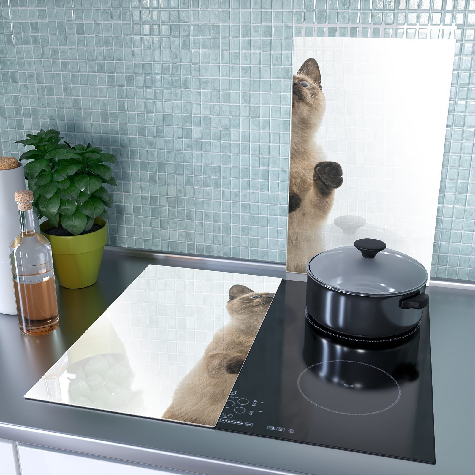 (2 Siamesiche Glas aus Spritzschutz tlg) Katze, Glas, Herd-Abdeckplatte Primedeco Herdabdeckplatte