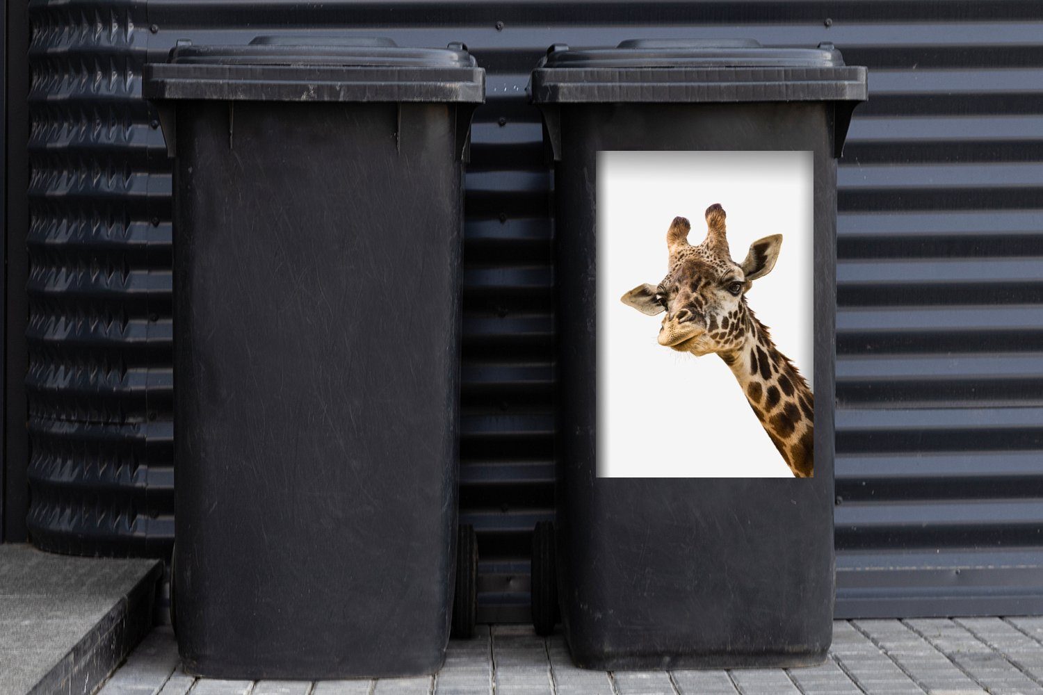 Hintergrund vor MuchoWow Giraffe weißen (1 Sticker, Wandsticker St), Container, Mülltonne, Neugierige einem Mülleimer-aufkleber, Abfalbehälter