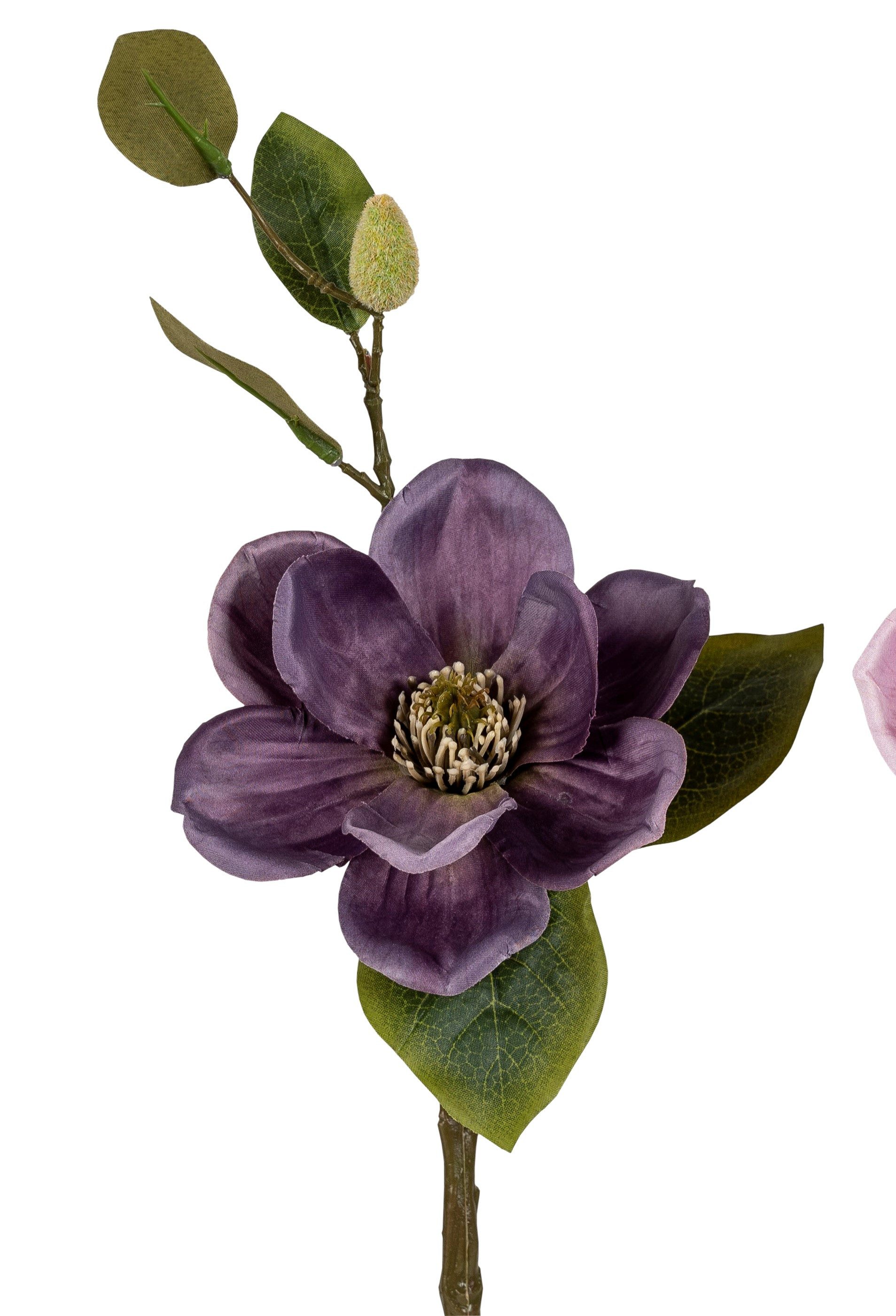 Kunstblume, formano, Höhe 46 cm, Farbe: Lila, Motiv: Magnolie günstig online kaufen