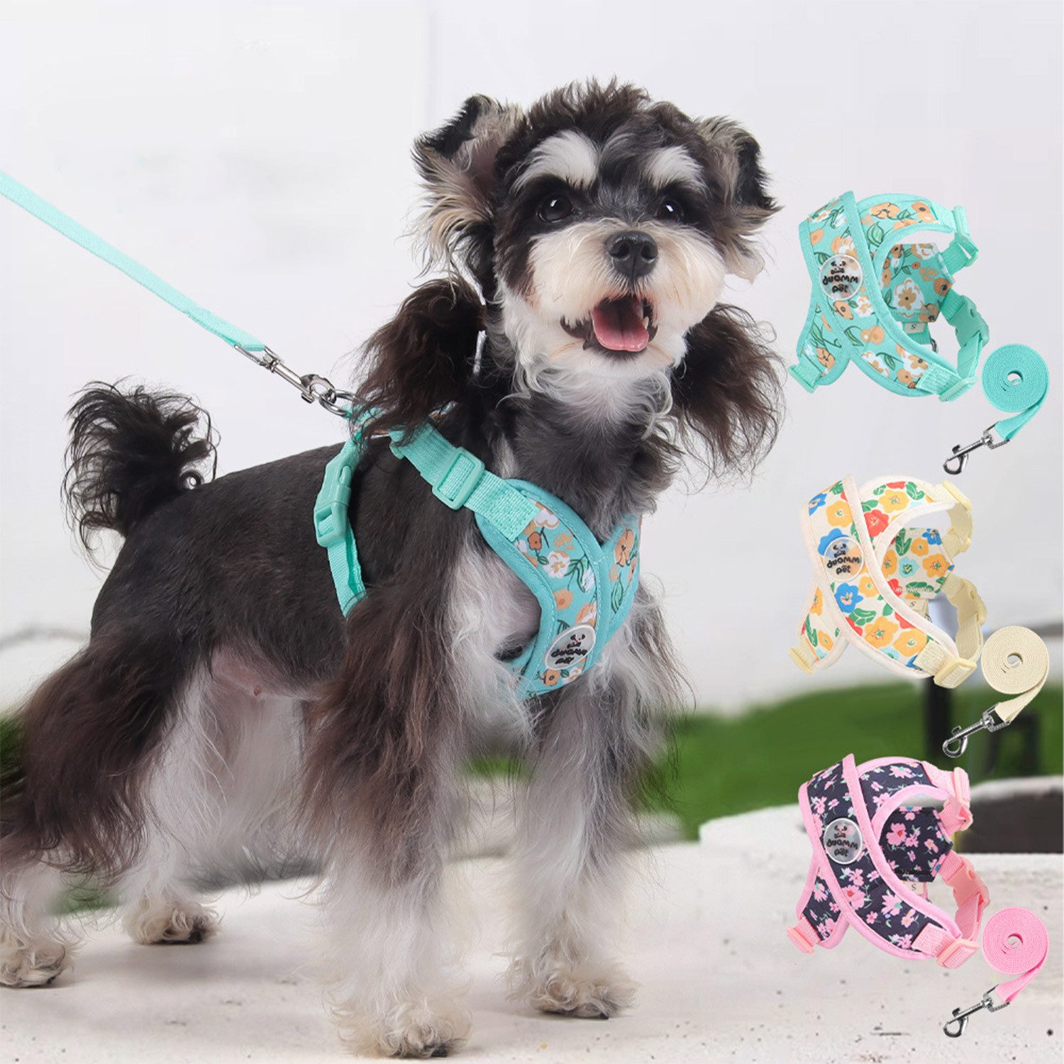 Refttenw Hunde-Geschirr Hundegeschirr mit Hundeleine Kleine günstig online kaufen