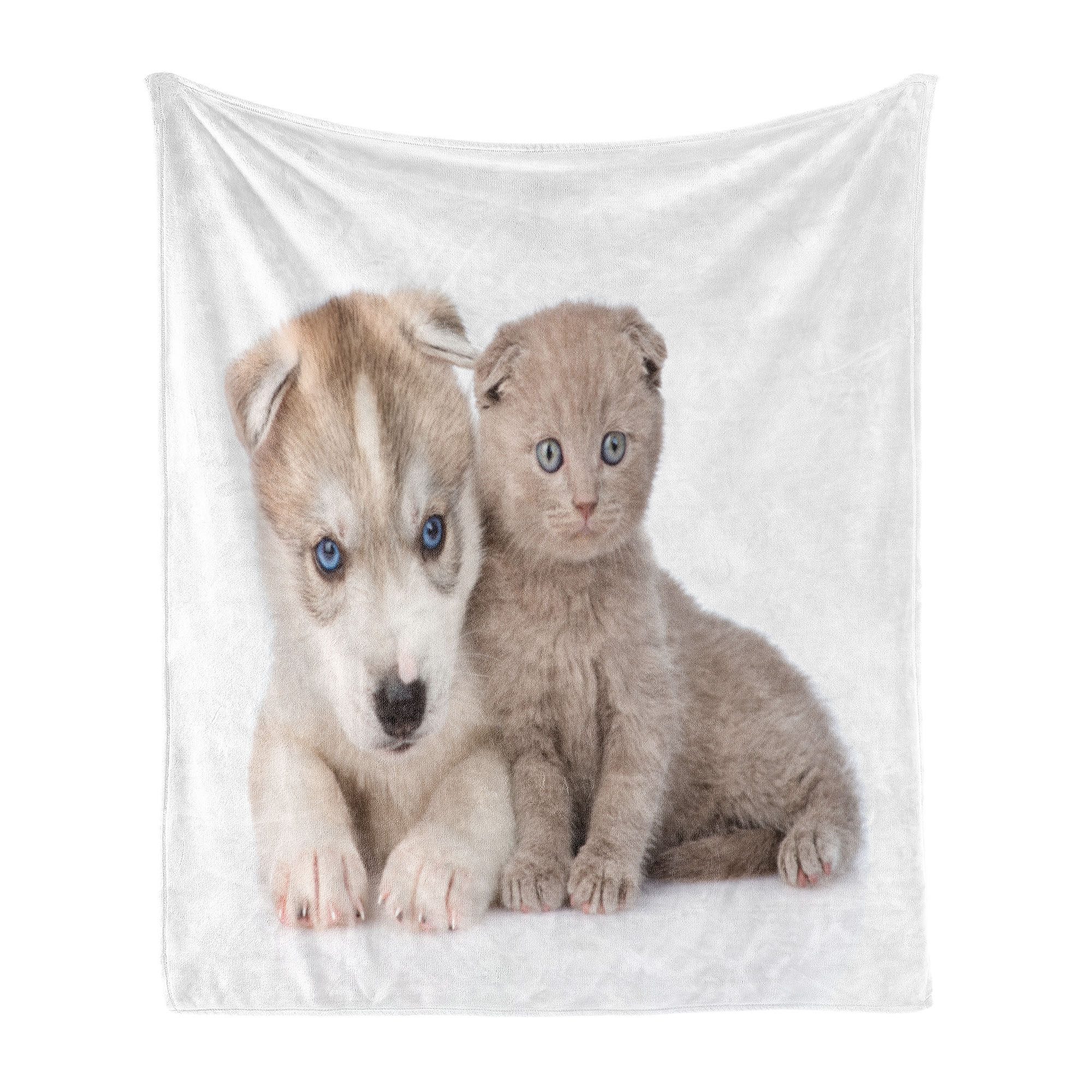 Wohndecke Gemütlicher Plüsch für den Innen- und Außenbereich, Abakuhaus, Hund und Katze Cuddling Tiere