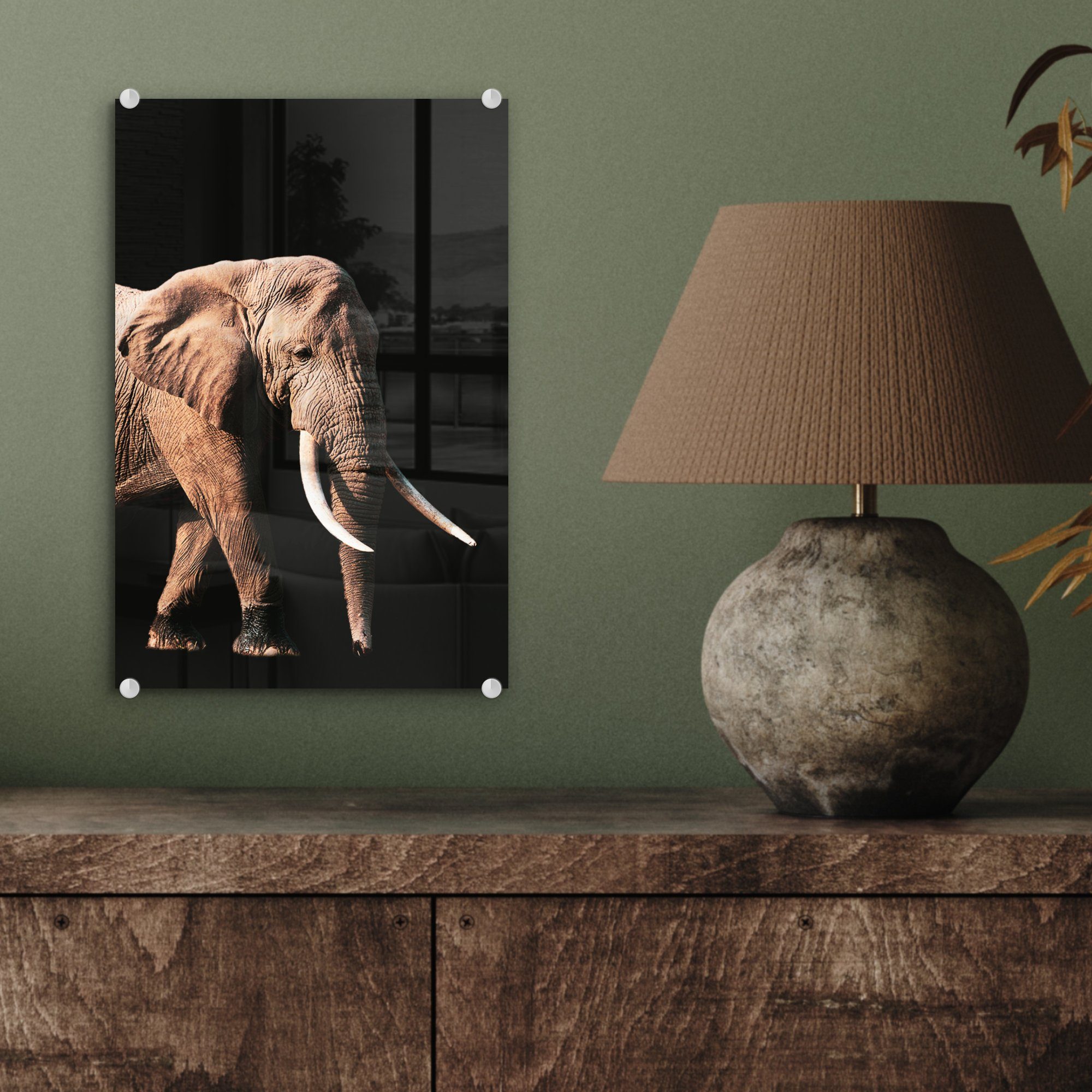 - Elefant - Glasbilder - Wandbild auf - Glas MuchoWow St), auf Schwarz Glas Wanddekoration (1 Acrylglasbild - Grau, Foto bunt Bilder