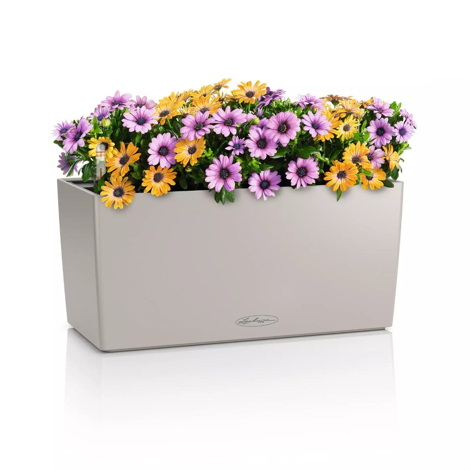 Lechuza® Balkonkasten Balconera Color 40 sandbraun günstig online kaufen