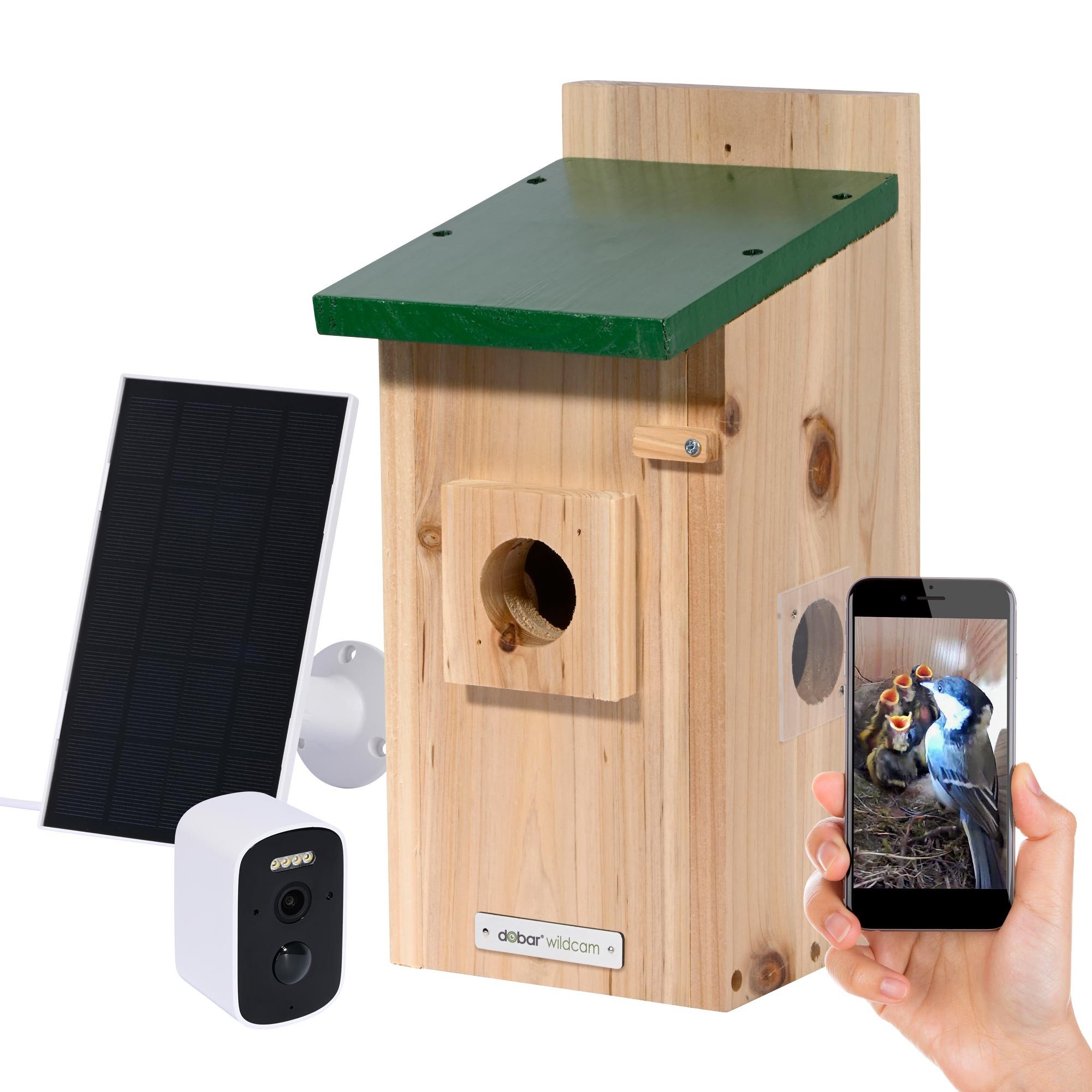dobar Vogelhaus Nistkasten EAZY Flachdach inkl. WiFi Kamera und Solar-Panel, Grün