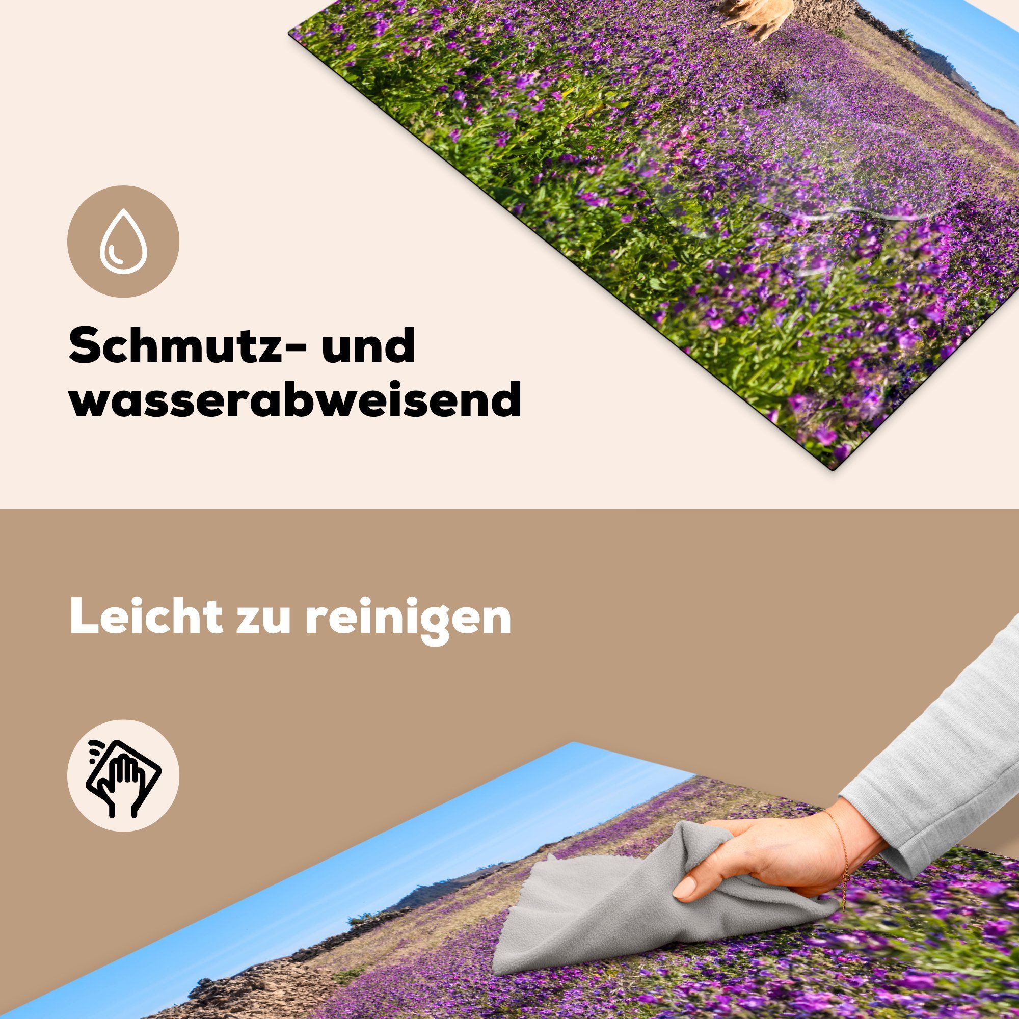 MuchoWow Herdblende-/Abdeckplatte die Vinyl, - für Schutz Induktionskochfeld Lavendel küche, cm, - Wiese, tlg), (1 Kuh 81x52 - Blumen Ceranfeldabdeckung