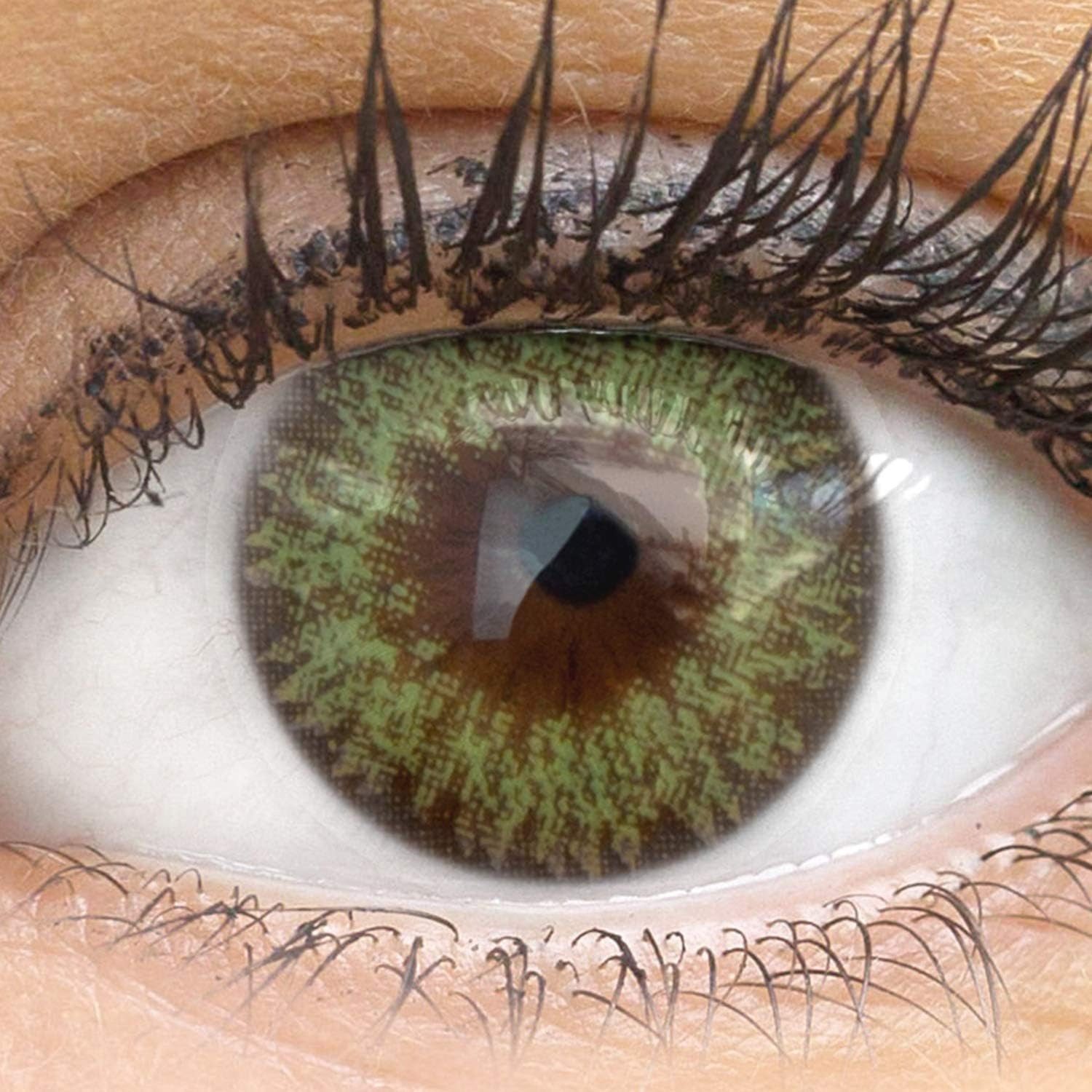 GLAMLENS Monatslinsen Sehr stark deckende und natürliche grüne Linsen "Palermo Green"