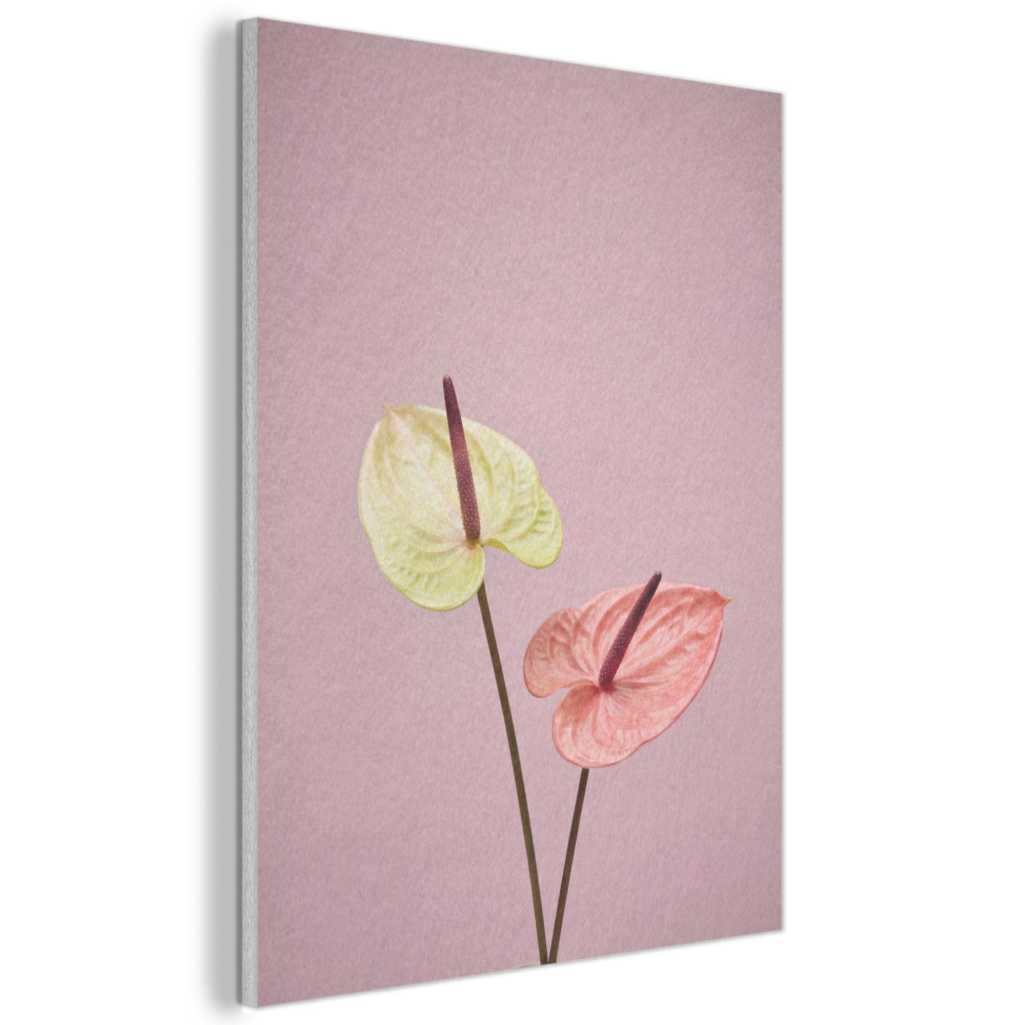 MuchoWow Gemälde Blumen - Anthurien - Gelb - Rosa, Fotodruck (1 St), Akustikpaneele, Wandpaneele, Schalldämmung, Akustikbilder 30x40 cm