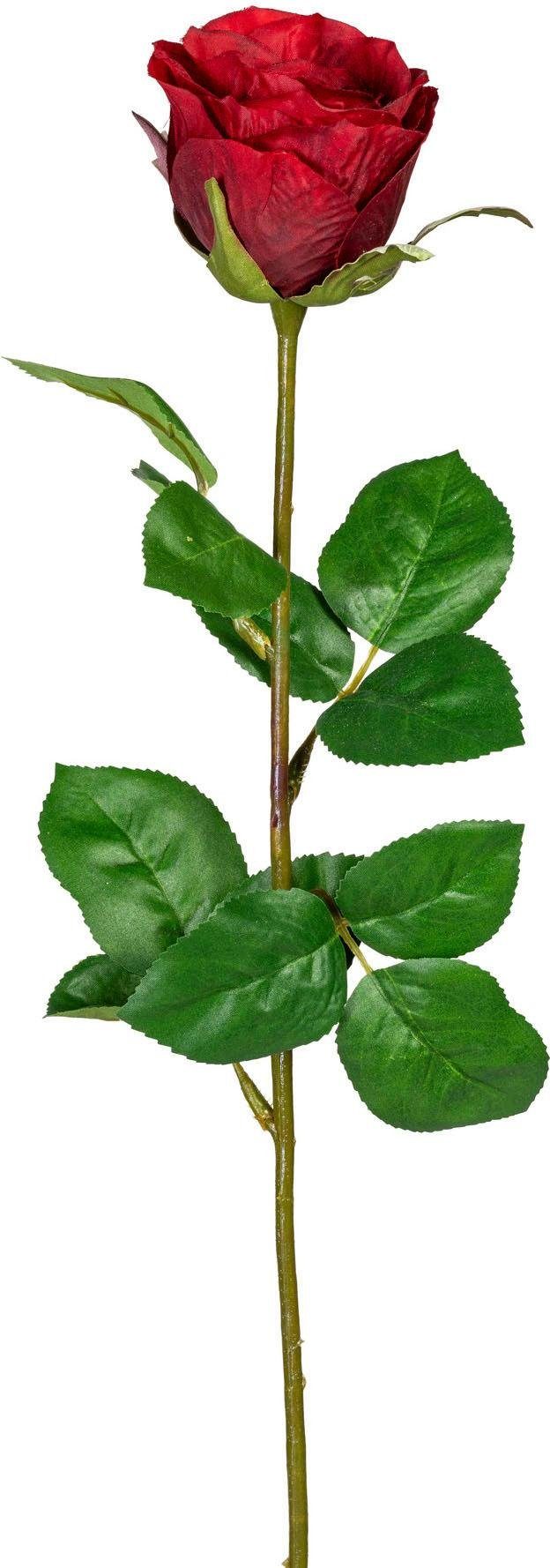 Kunstblume, Creativ green, Höhe 69 cm günstig online kaufen