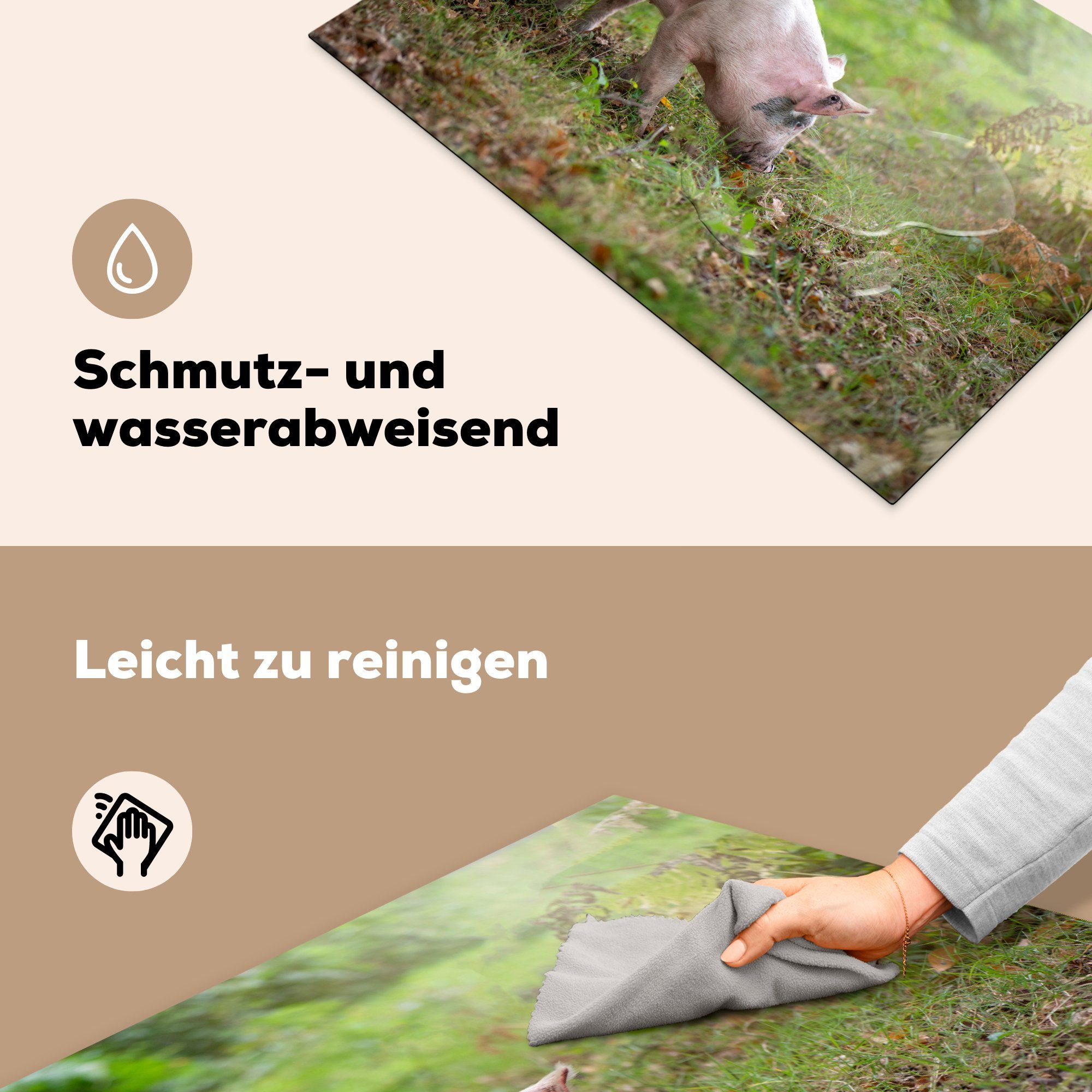 81x52 Gras, Schwein Induktionskochfeld Herdblende-/Abdeckplatte (1 die Wald cm, Vinyl, - Schutz für tlg), - küche, Ceranfeldabdeckung MuchoWow