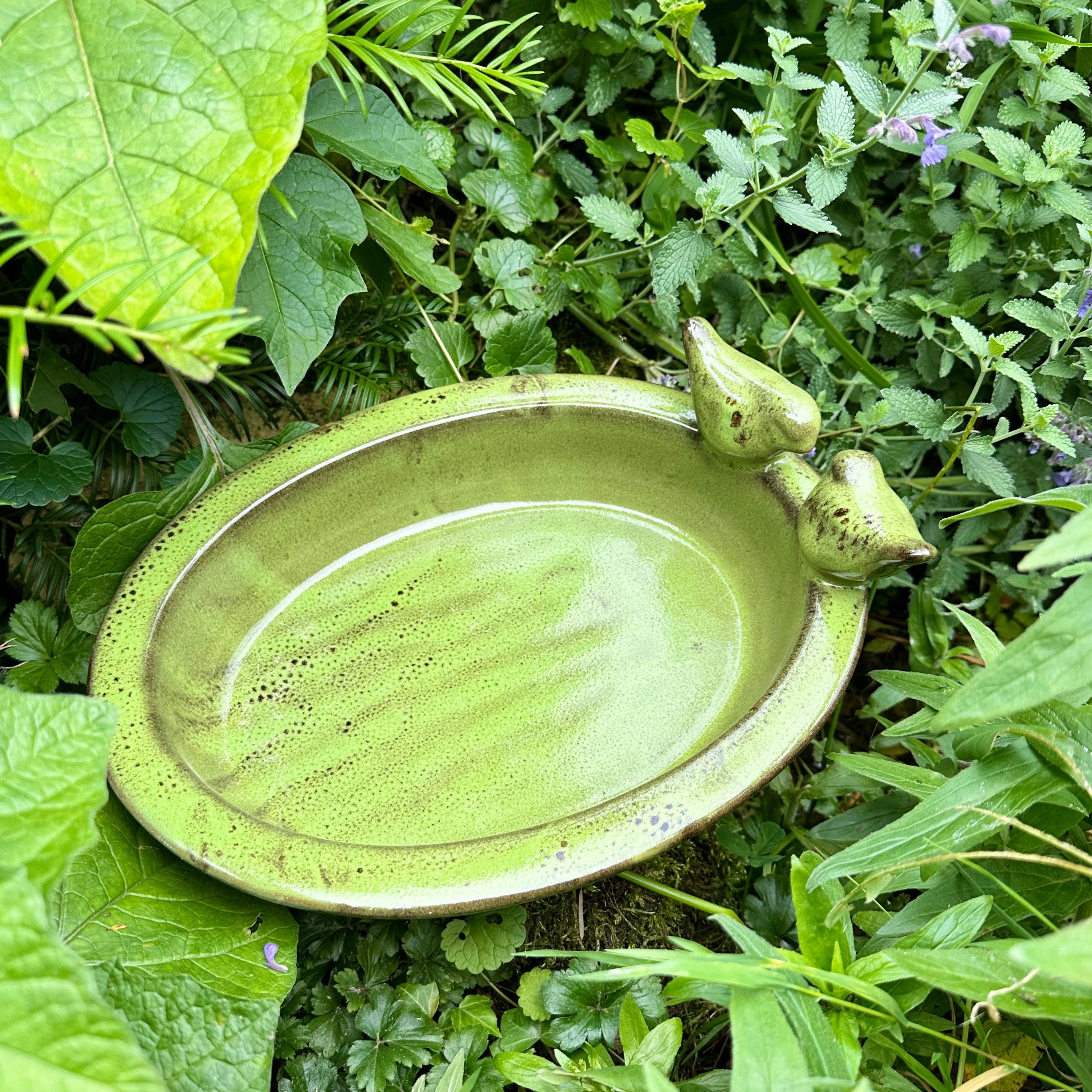 Antikas Futterstation Vogeltränke, Vogelbad - Oval - Grün, Wasserschale als Vogelbecken