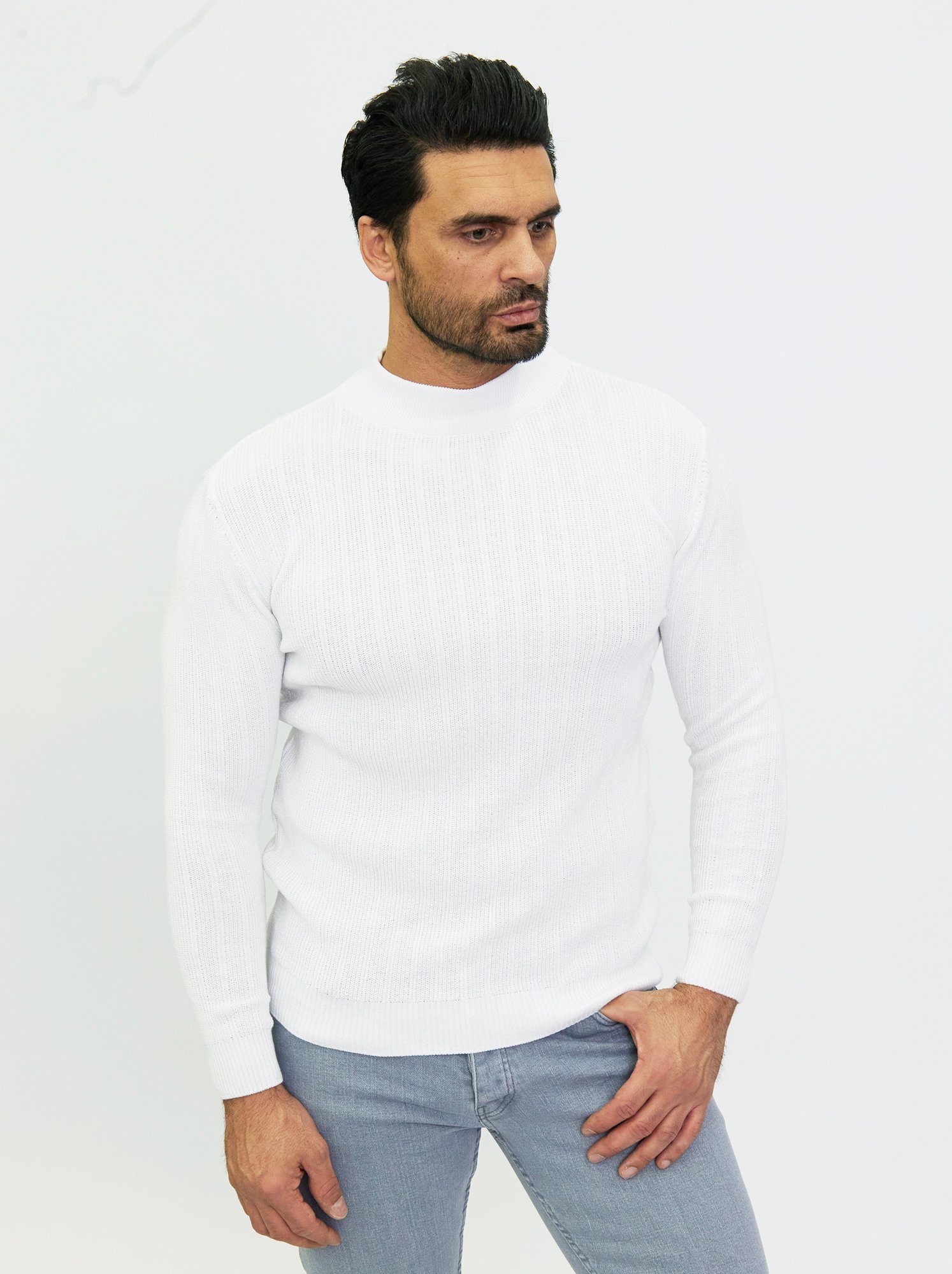 Denim Distriqt Strickpullover Stehkragen Pullover in günstig online kaufen