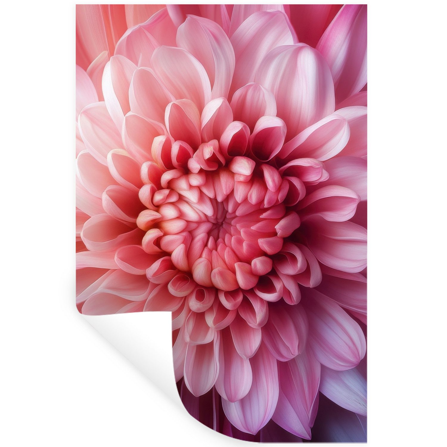 MuchoWow Wandsticker Dahlie - Blume - Nahaufnahme - Rosa (1 St), Wandaufkleber, Selbstklebend, Wohnzimmer, 20x30 cm