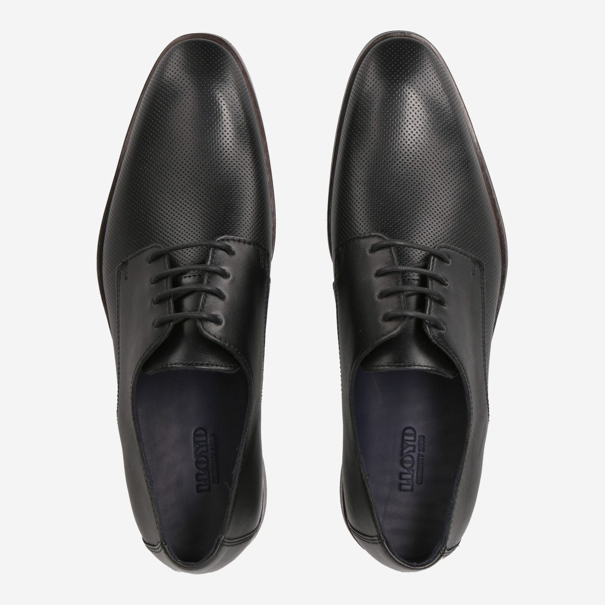 Lloyd Lloyd 14-130-10 OHIO, Schnürschuhe in Schwarz für Herren Schnürschuh