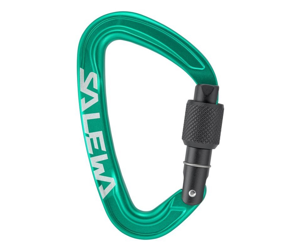 Salewa Karabiner Karabiner Ortles grün Screw